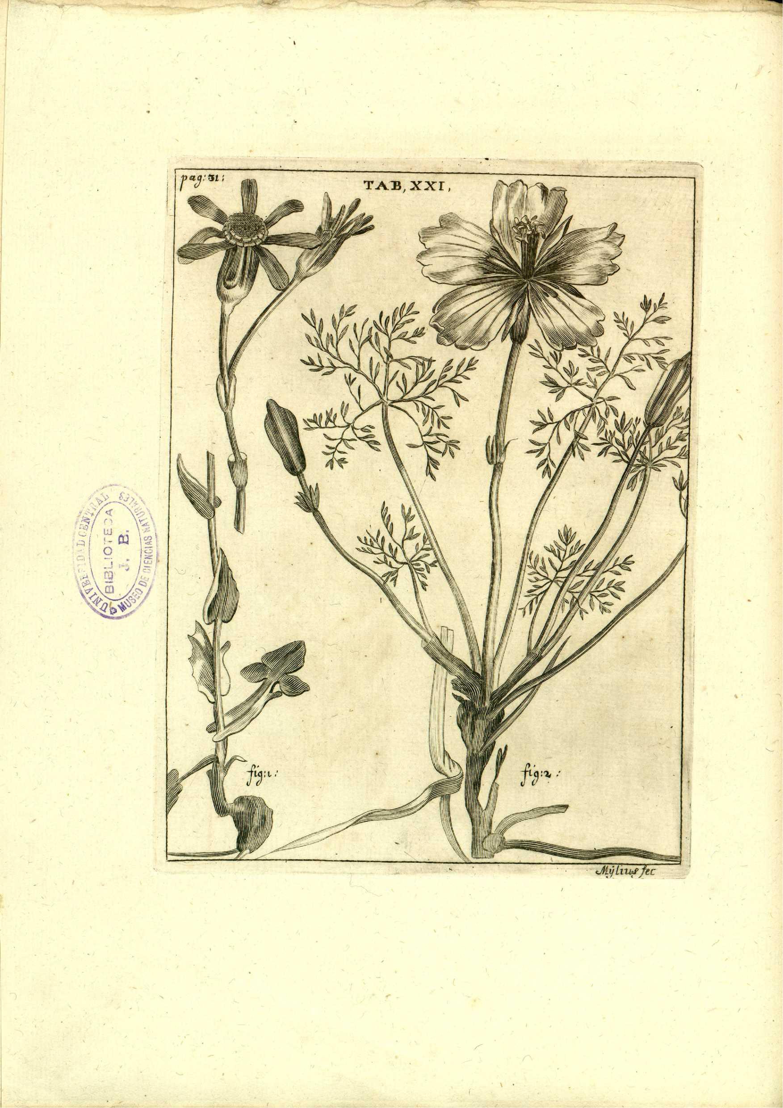 no full size  illustration available (3a)