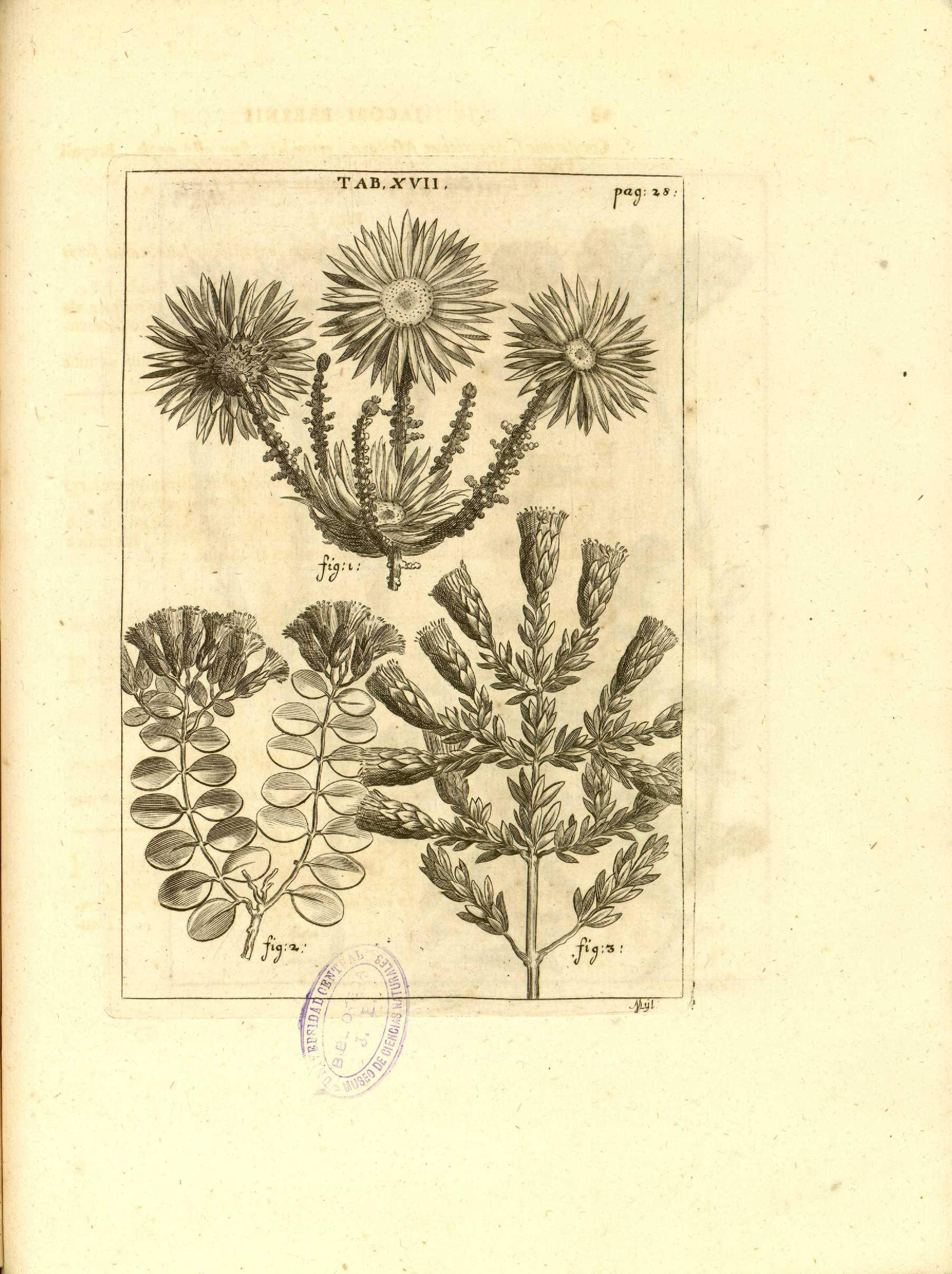 no full size  illustration available (3a)