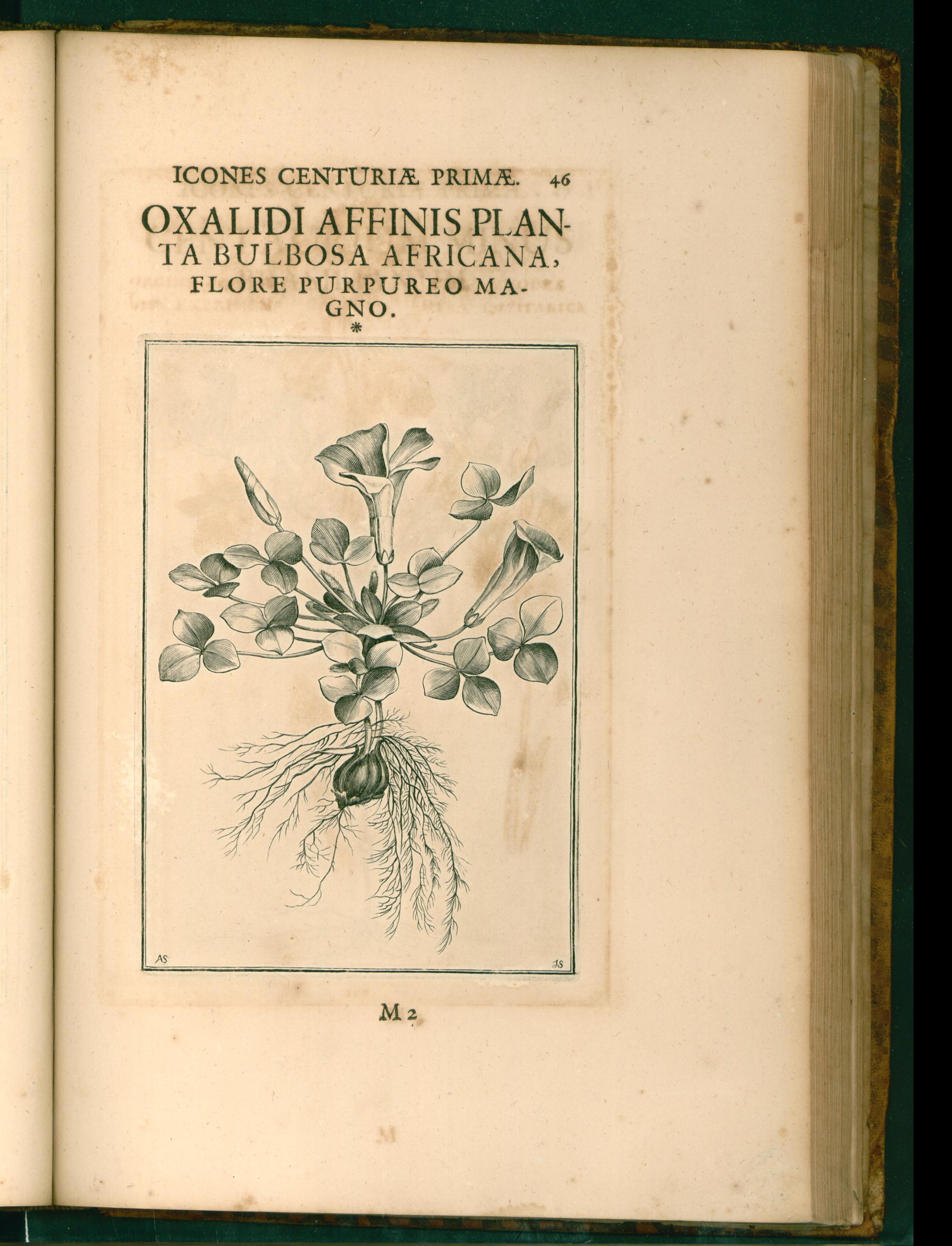 no full size  illustration available (3a)