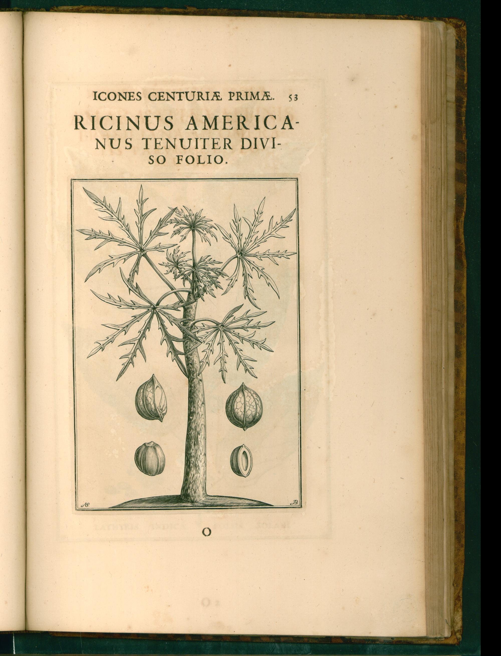 no full size  illustration available (3a)