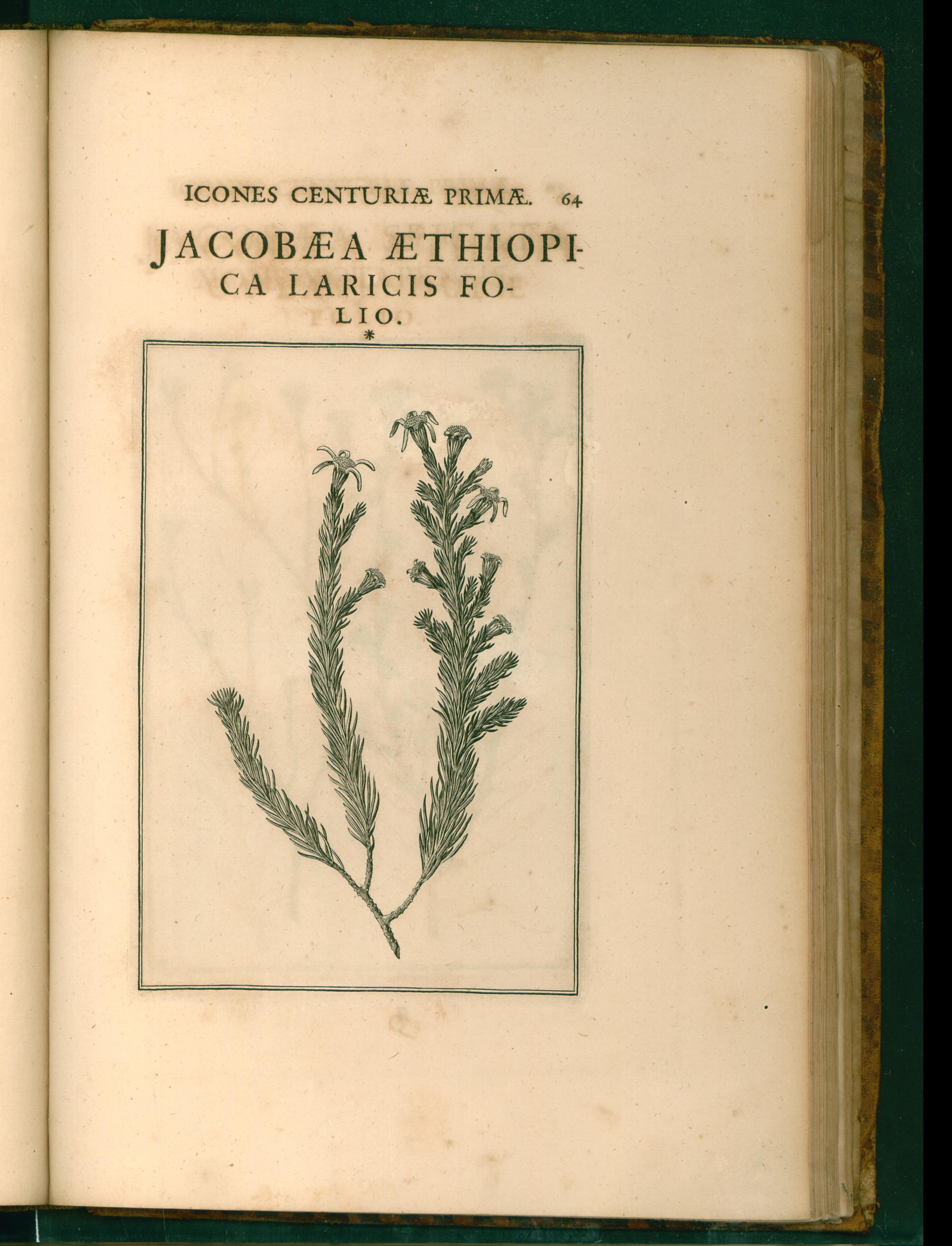 no full size  illustration available (3a)