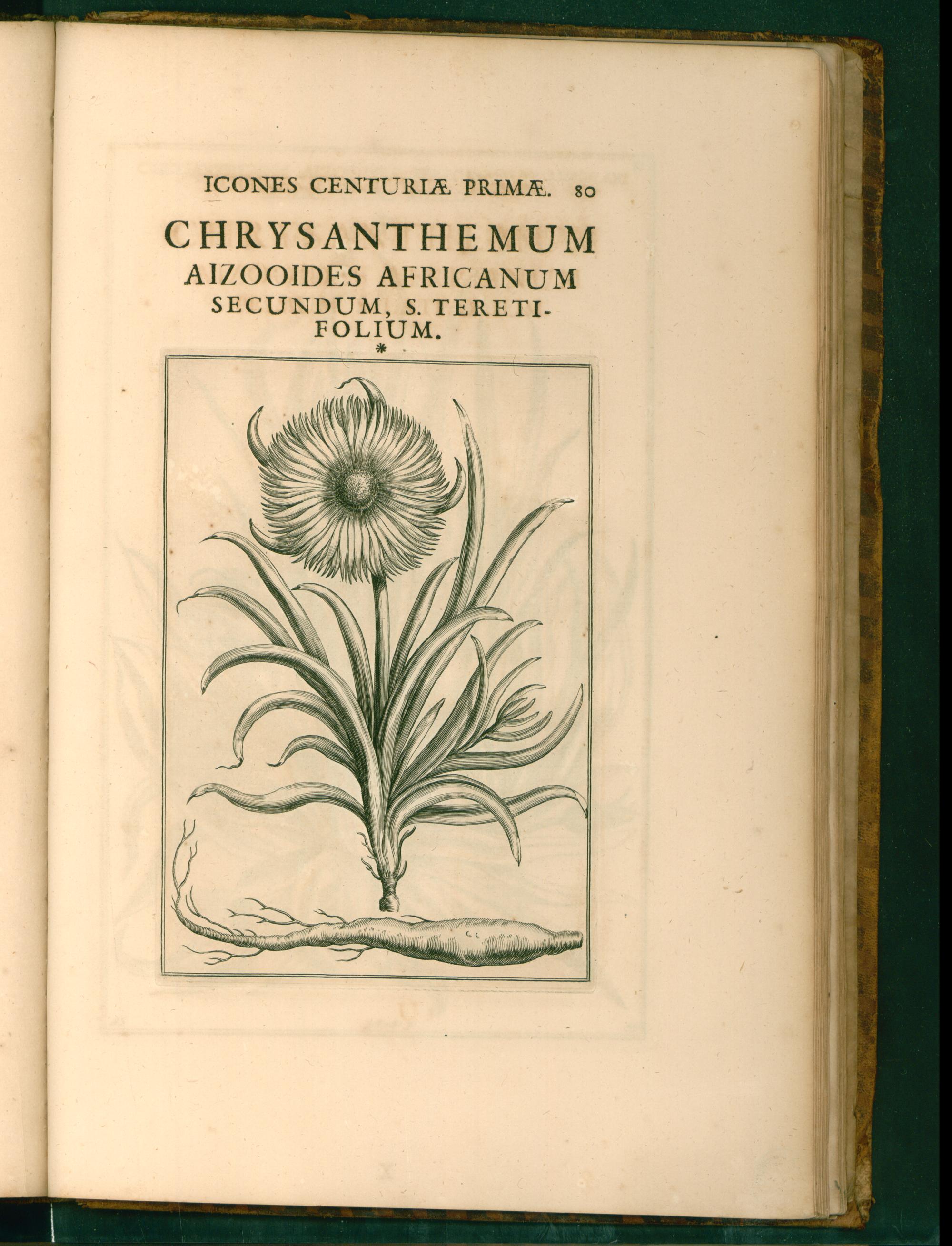 no full size  illustration available (3a)