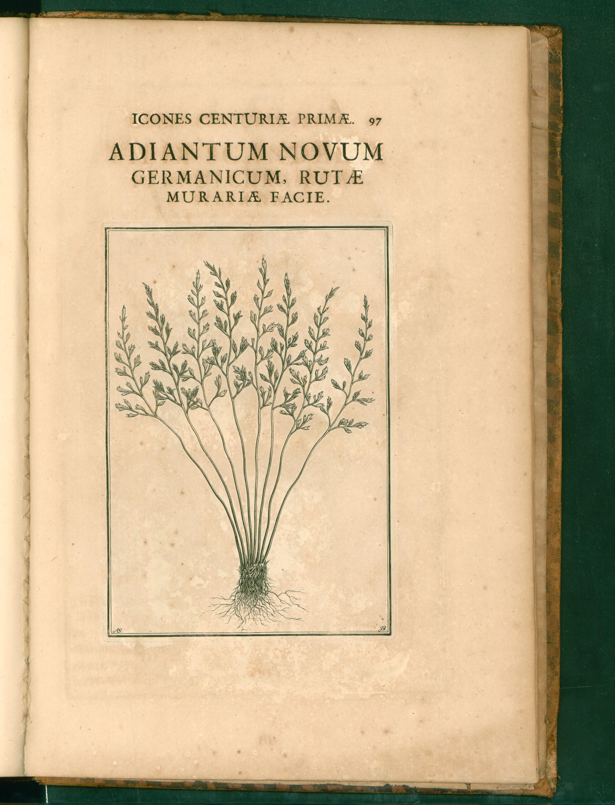 no full size  illustration available (3a)