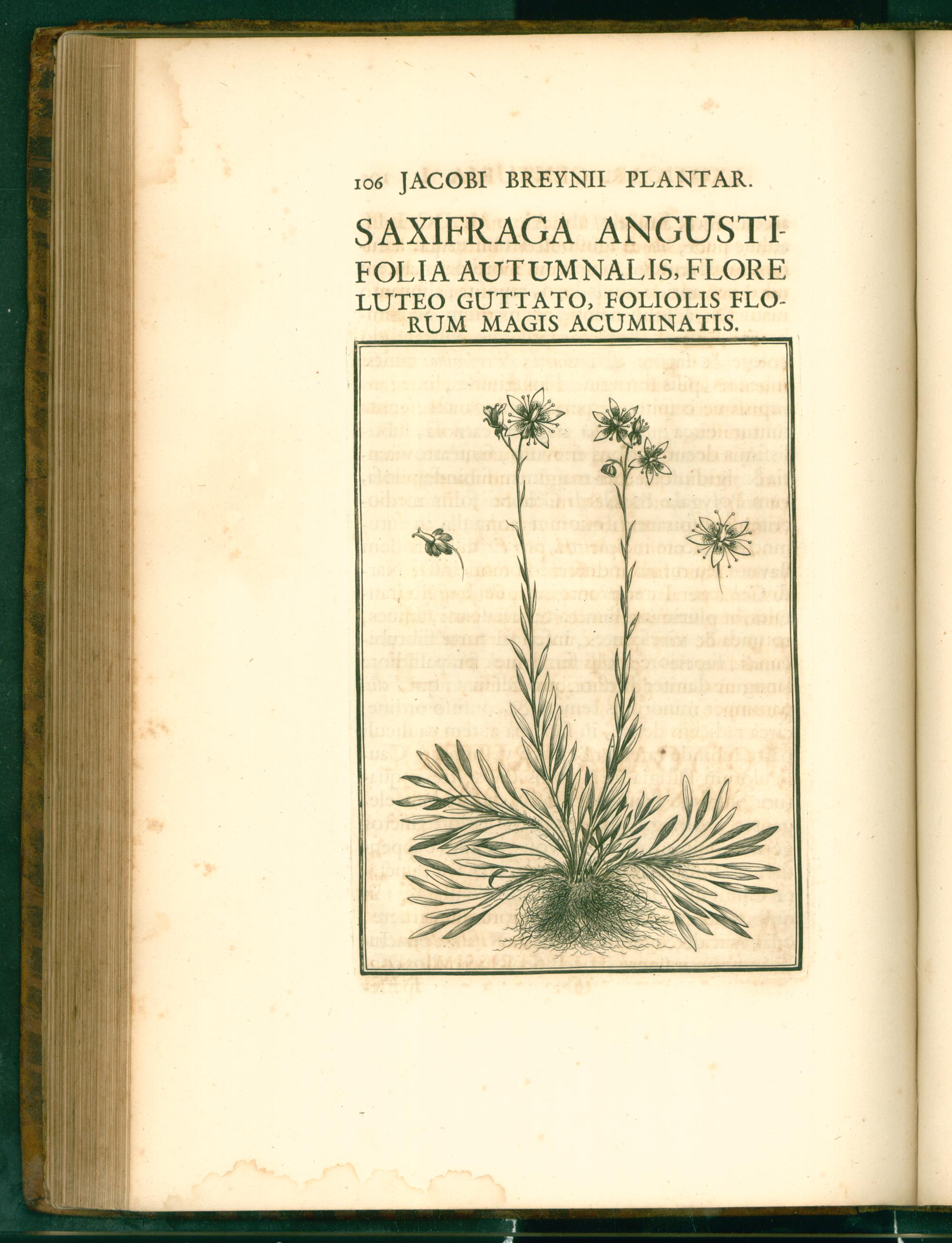 no full size  illustration available (3a)