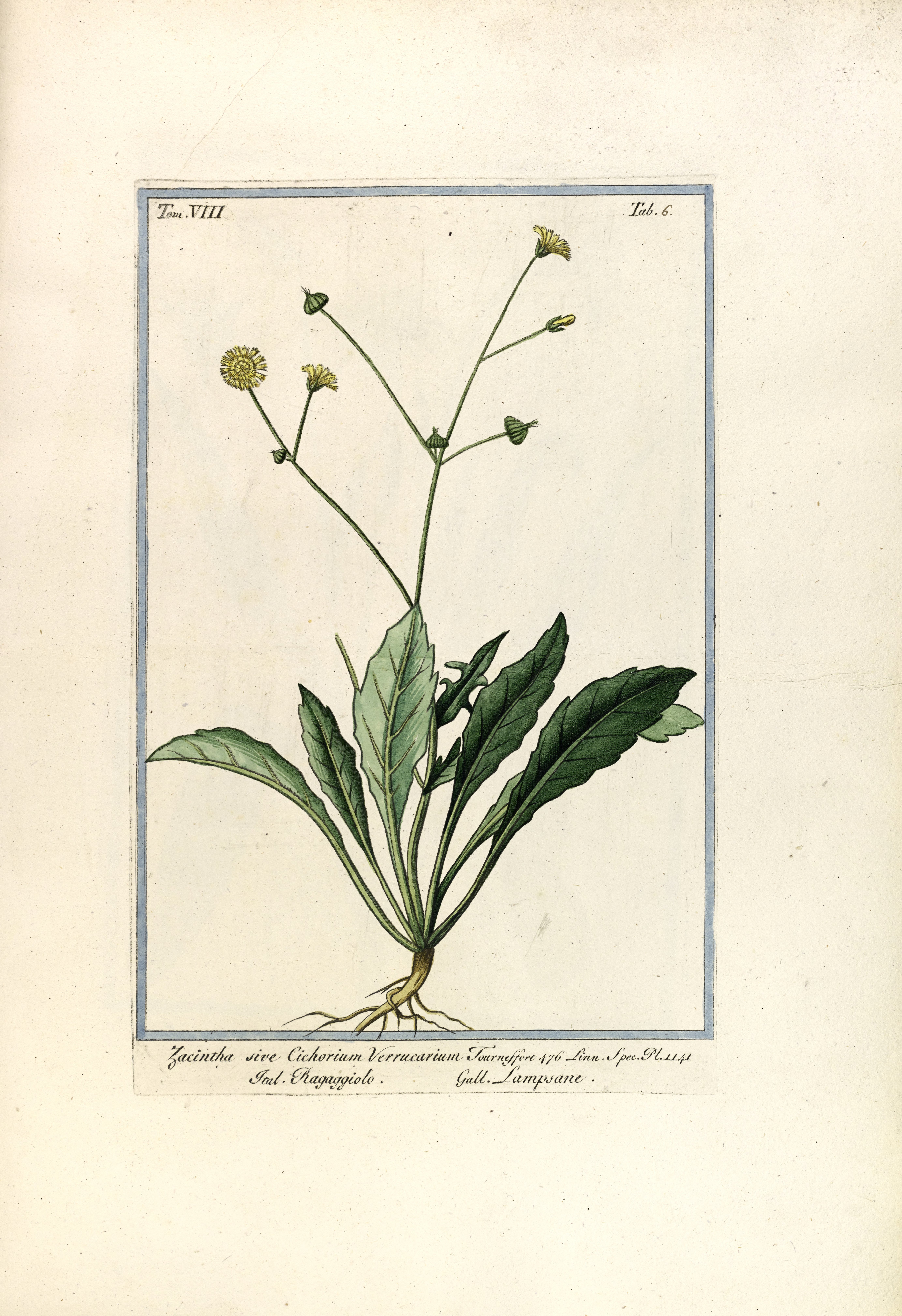 no full size  illustration available (3a)