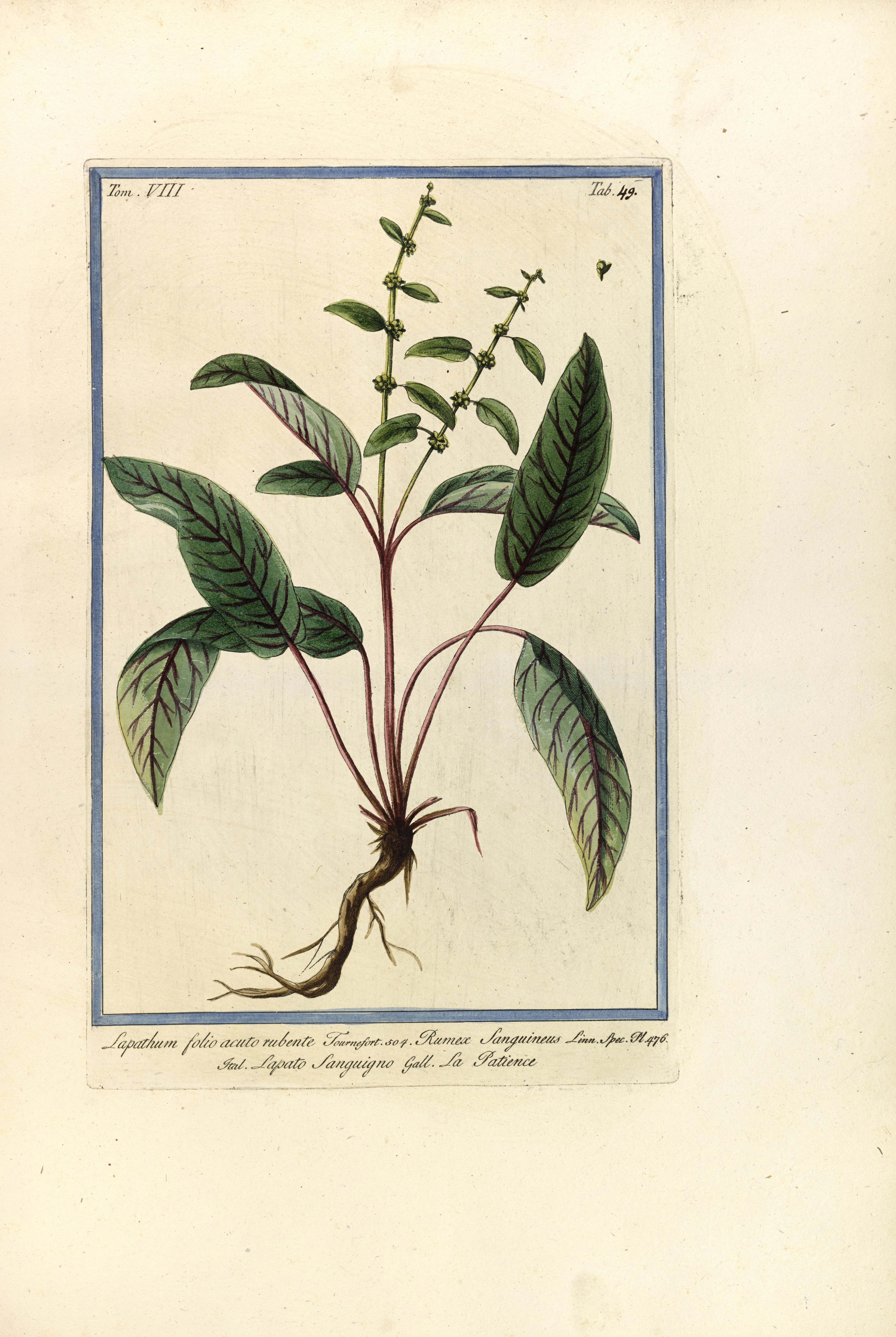 no full size  illustration available (3a)