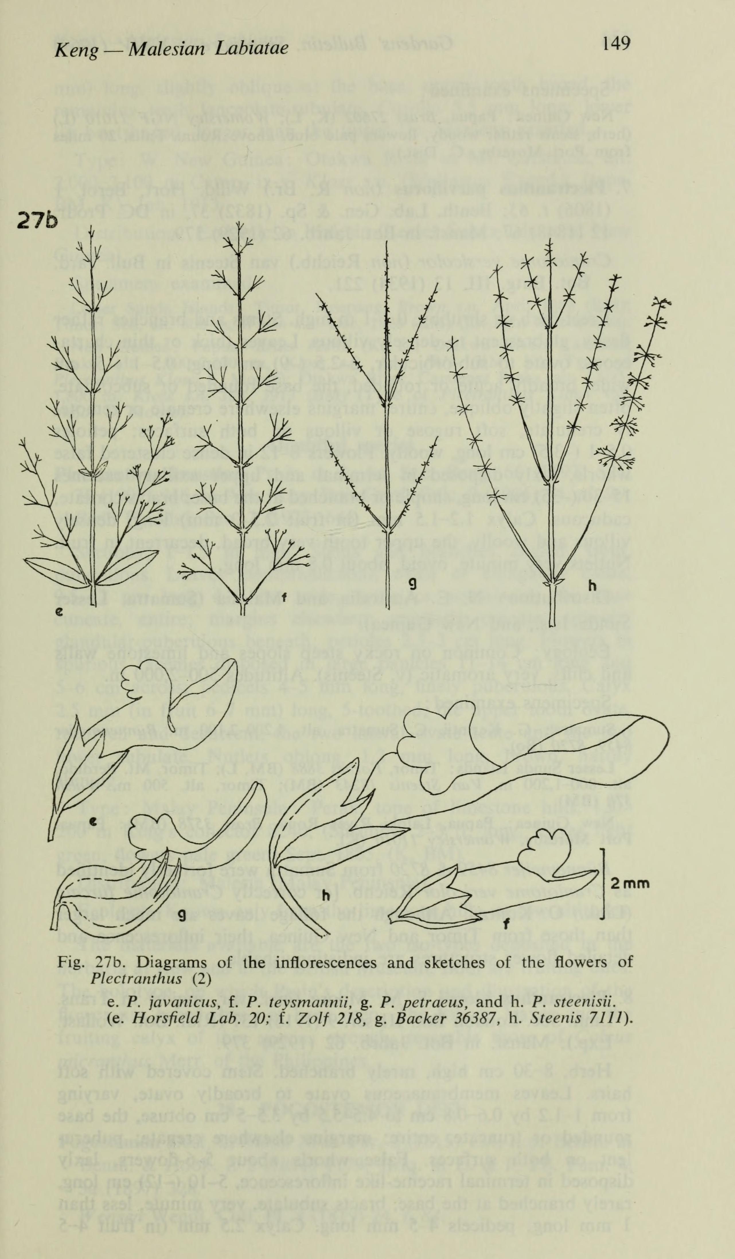 no full size  illustration available (3a)