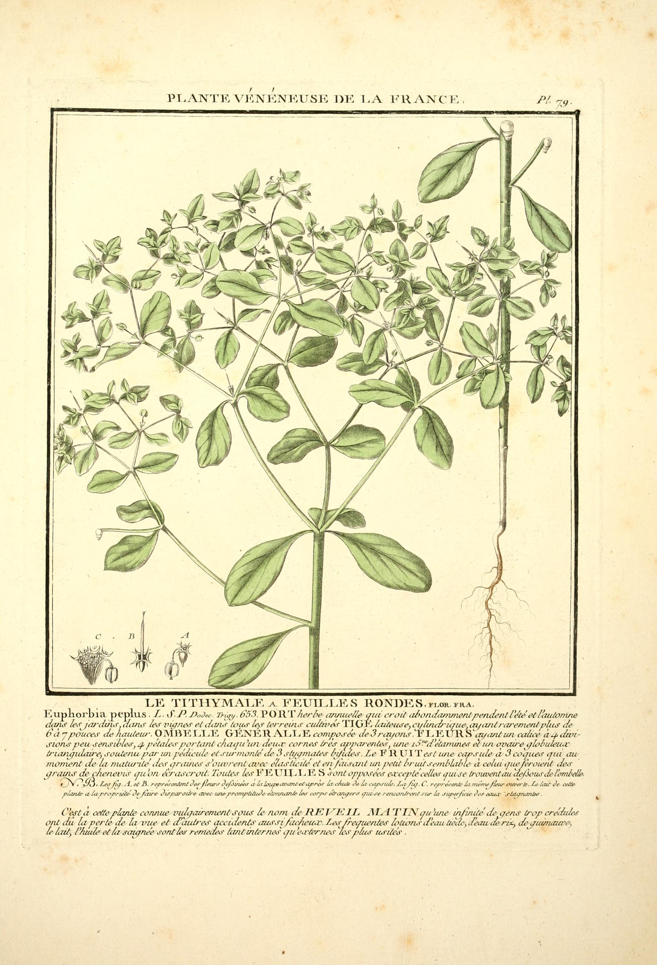 no full size  illustration available (3a)