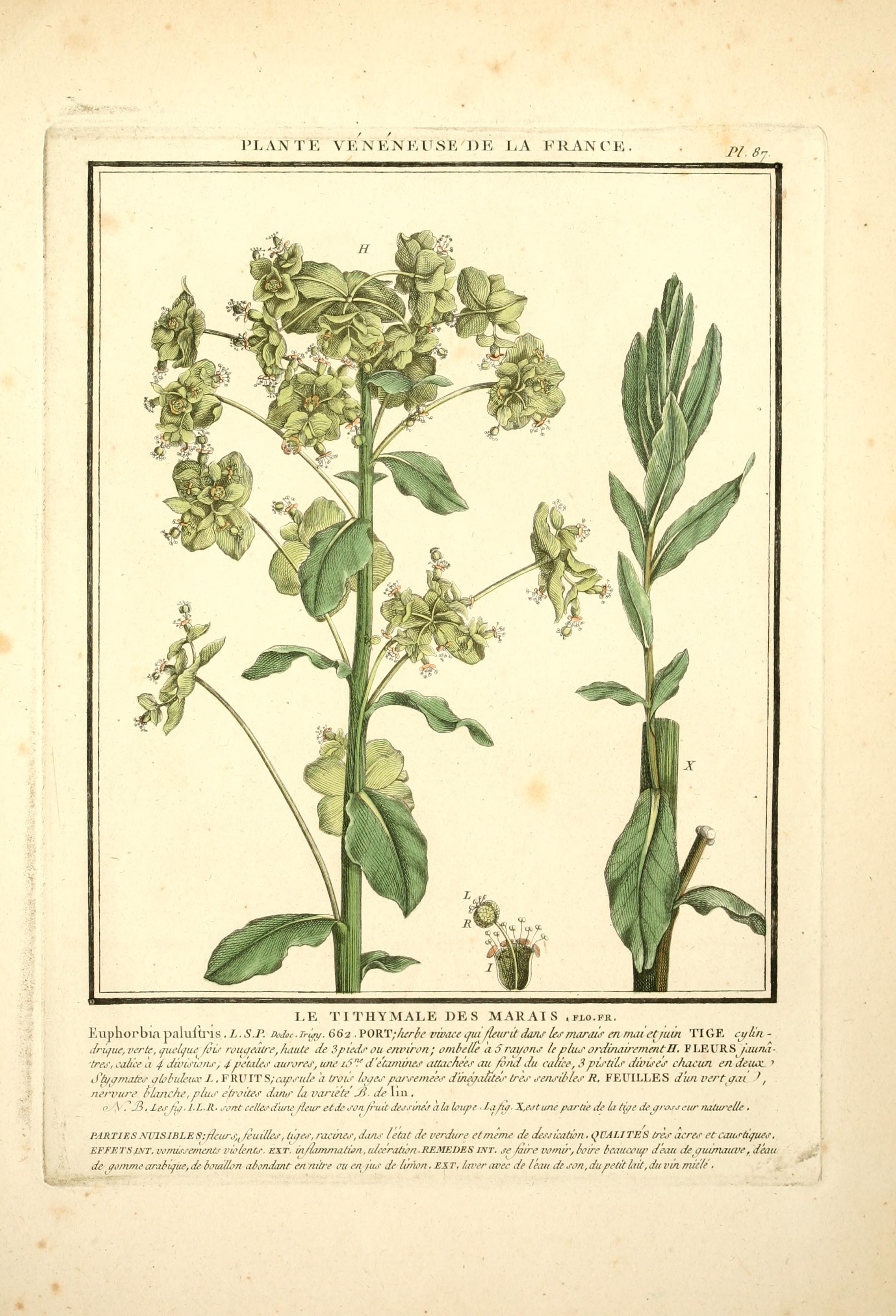 no full size  illustration available (3a)