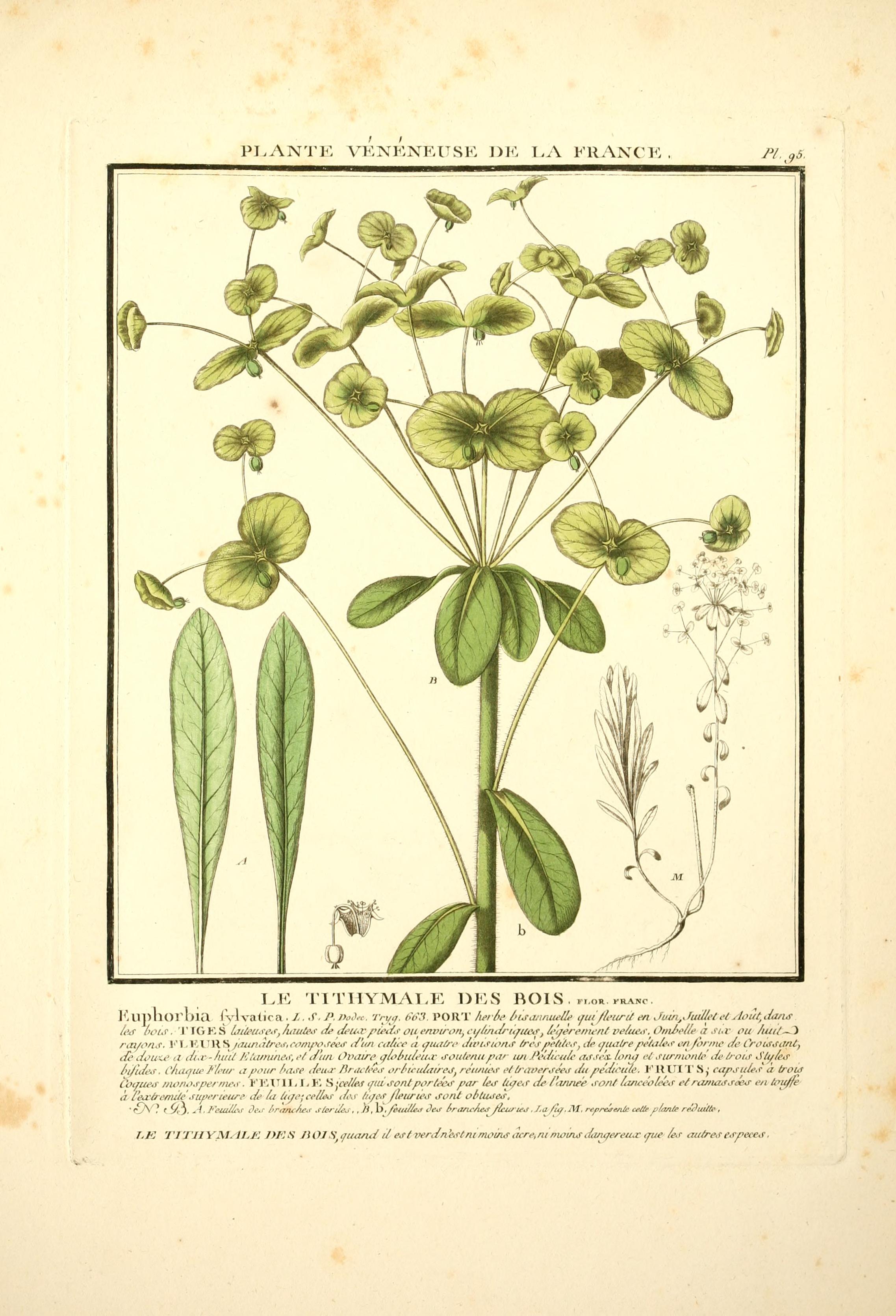 no full size  illustration available (3a)