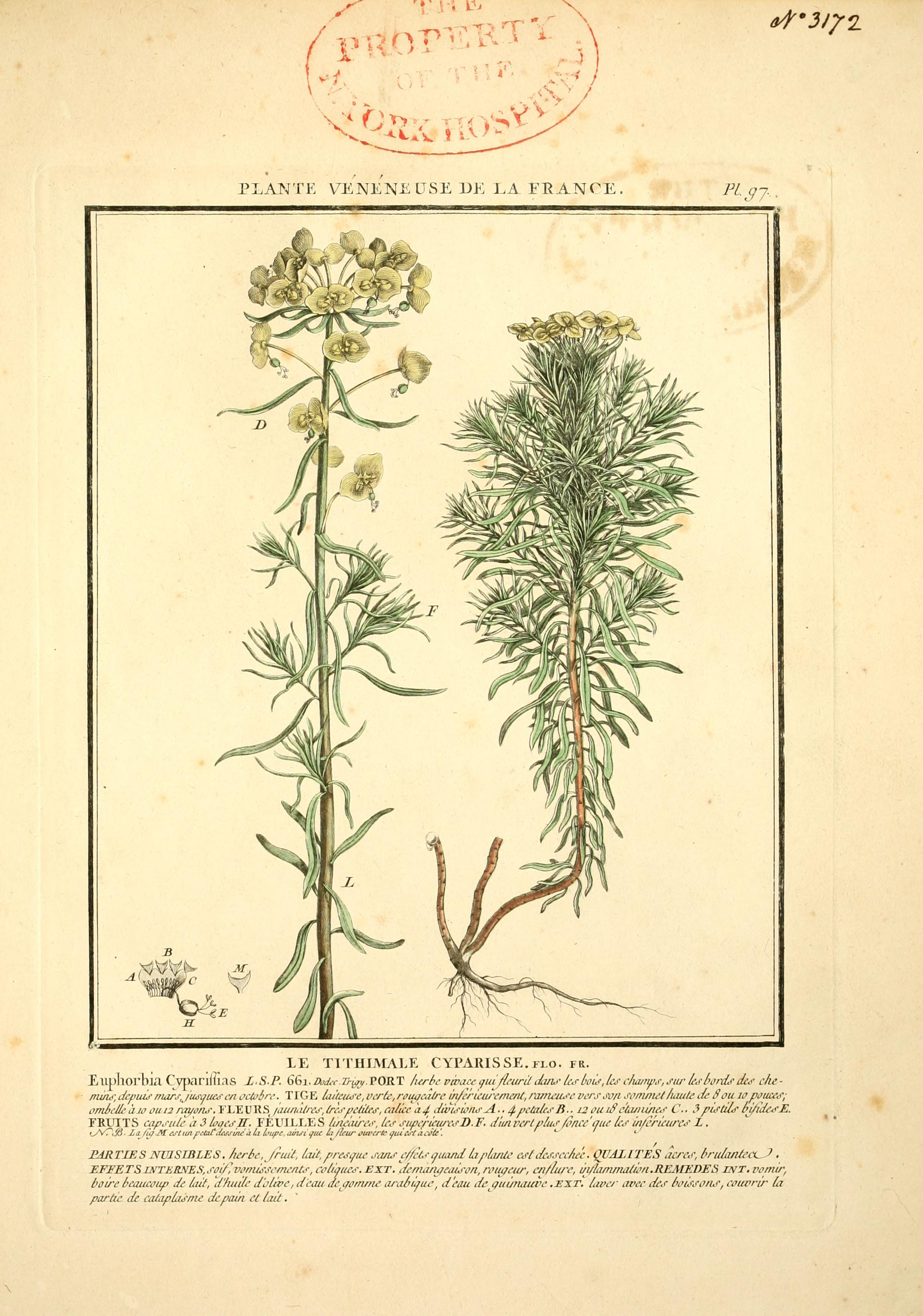 no full size  illustration available (3a)