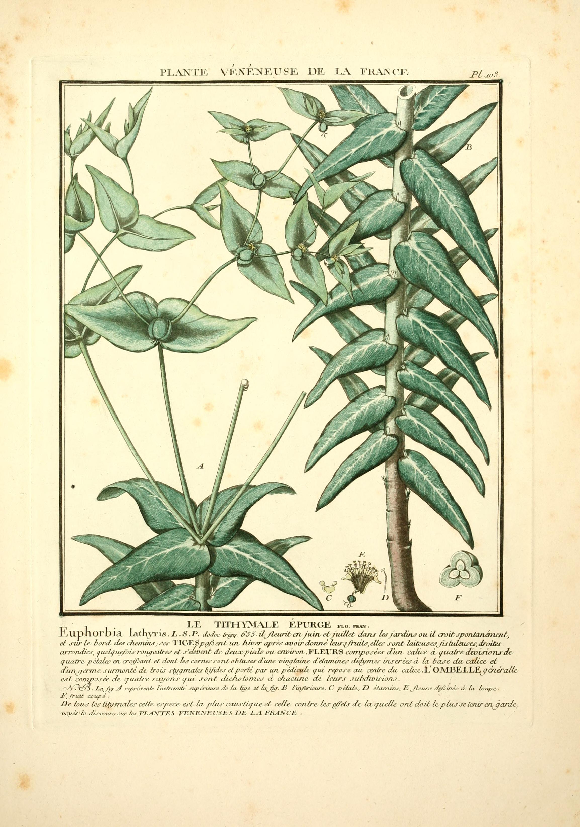 no full size  illustration available (3a)