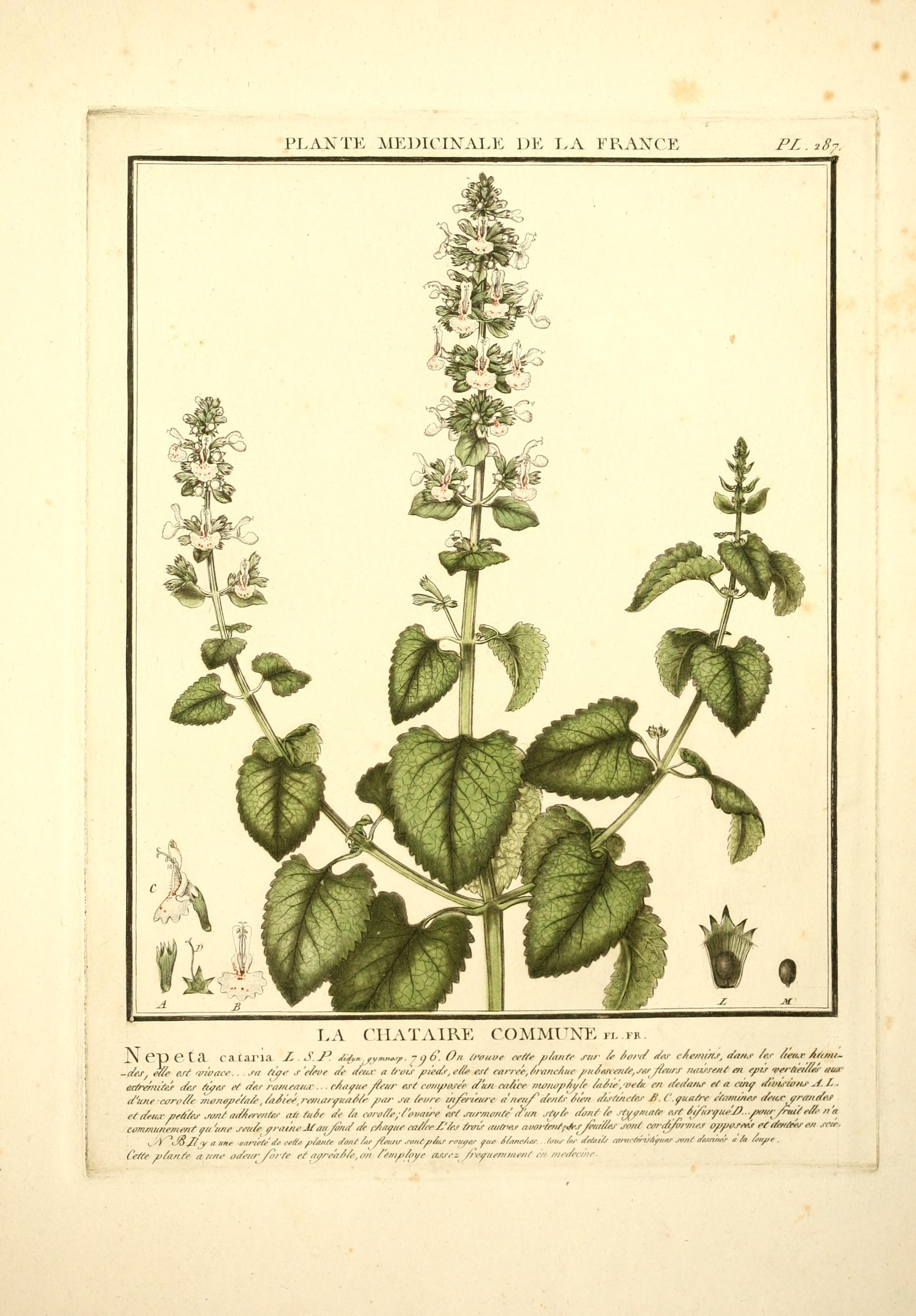 no full size  illustration available (3a)