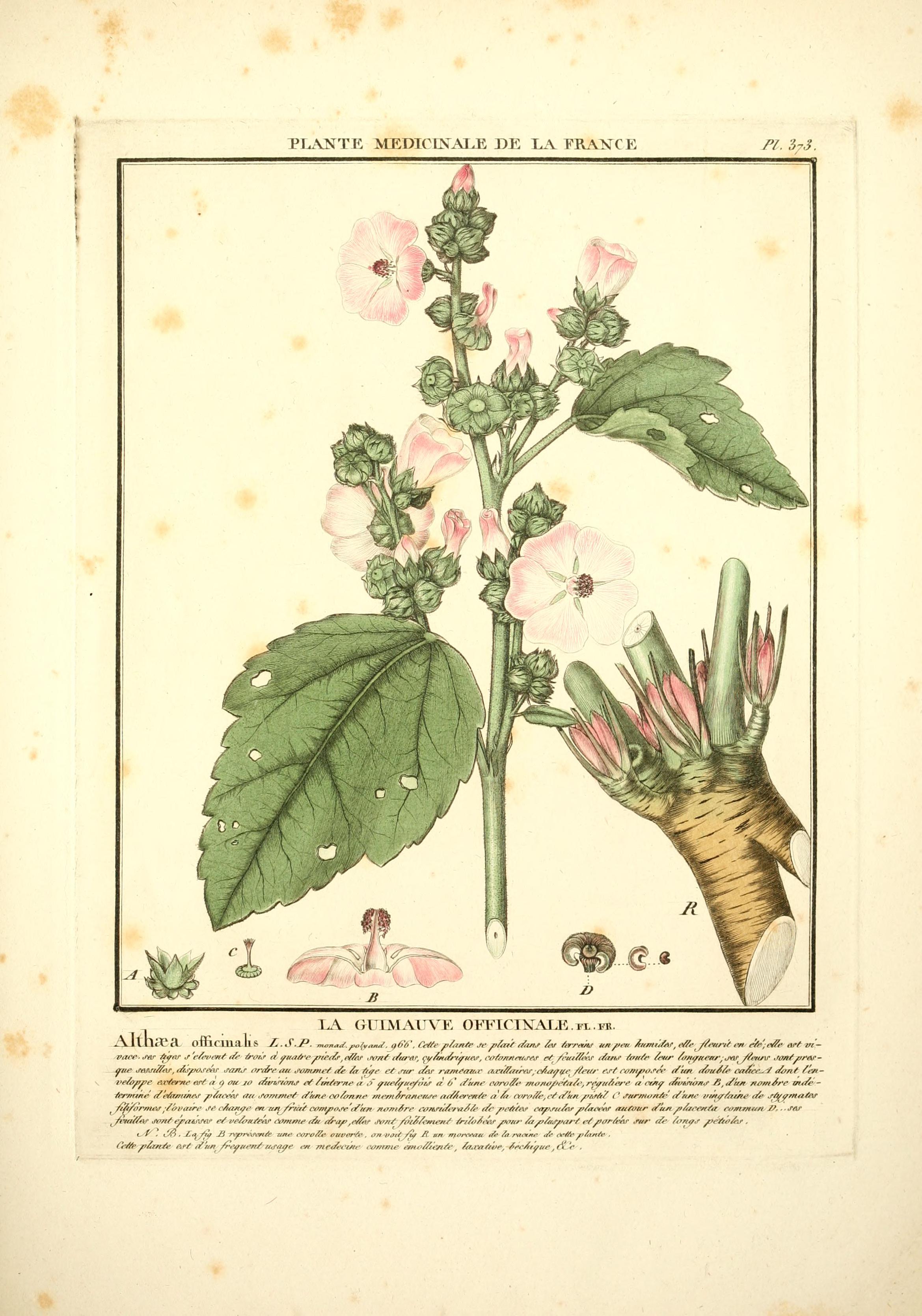 no full size  illustration available (3a)