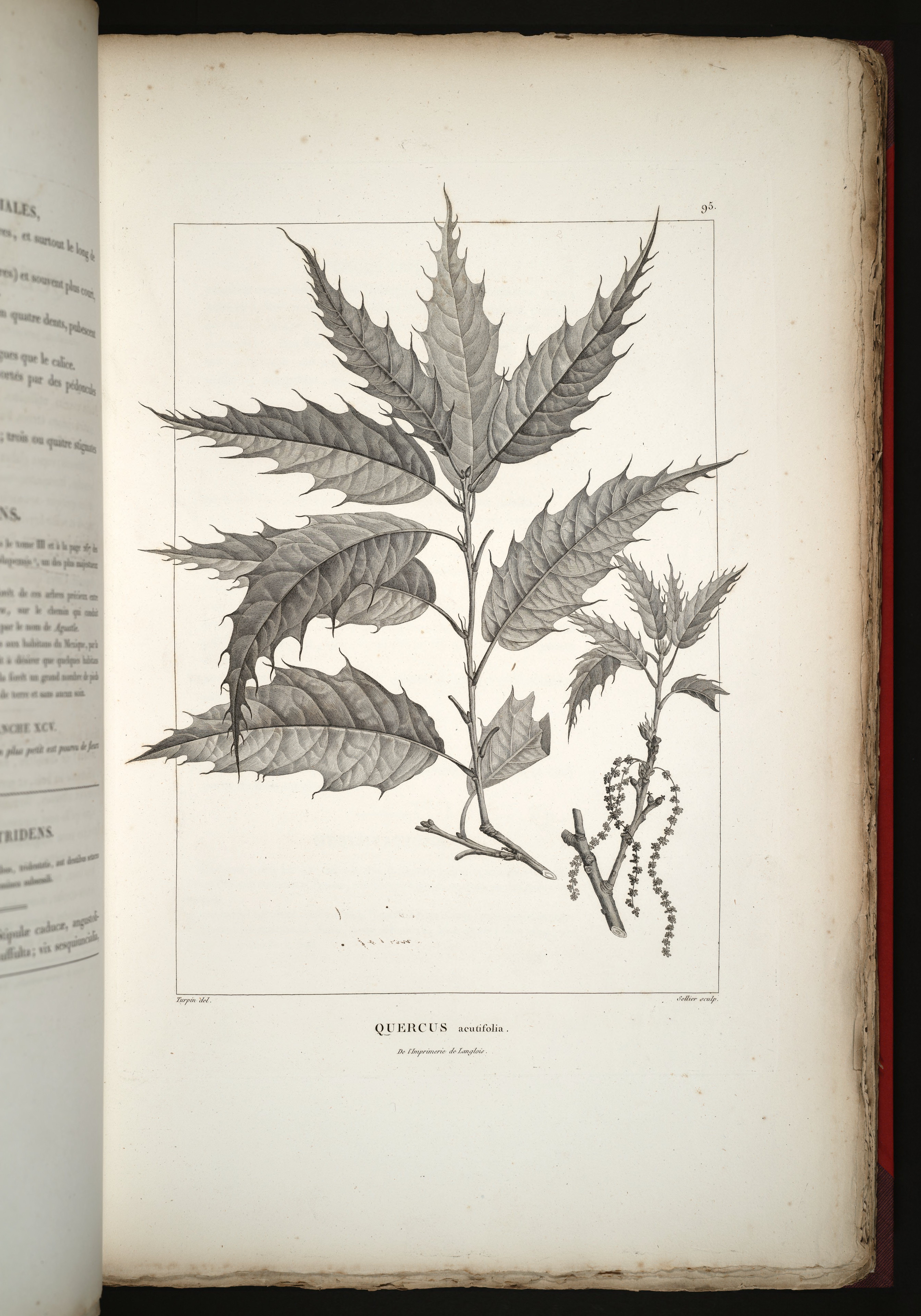 no full size  illustration available (3a)