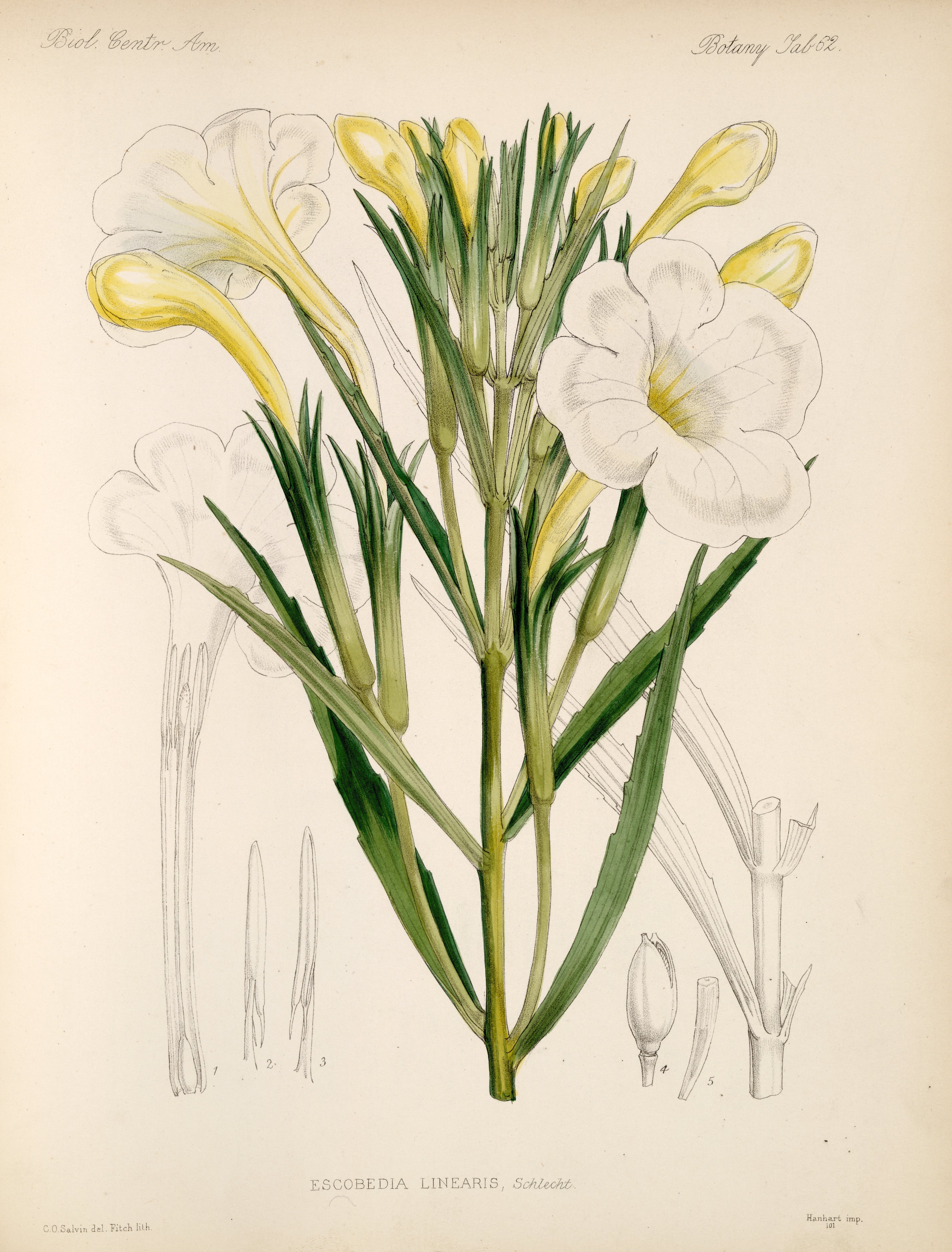 no full size  illustration available (3a)