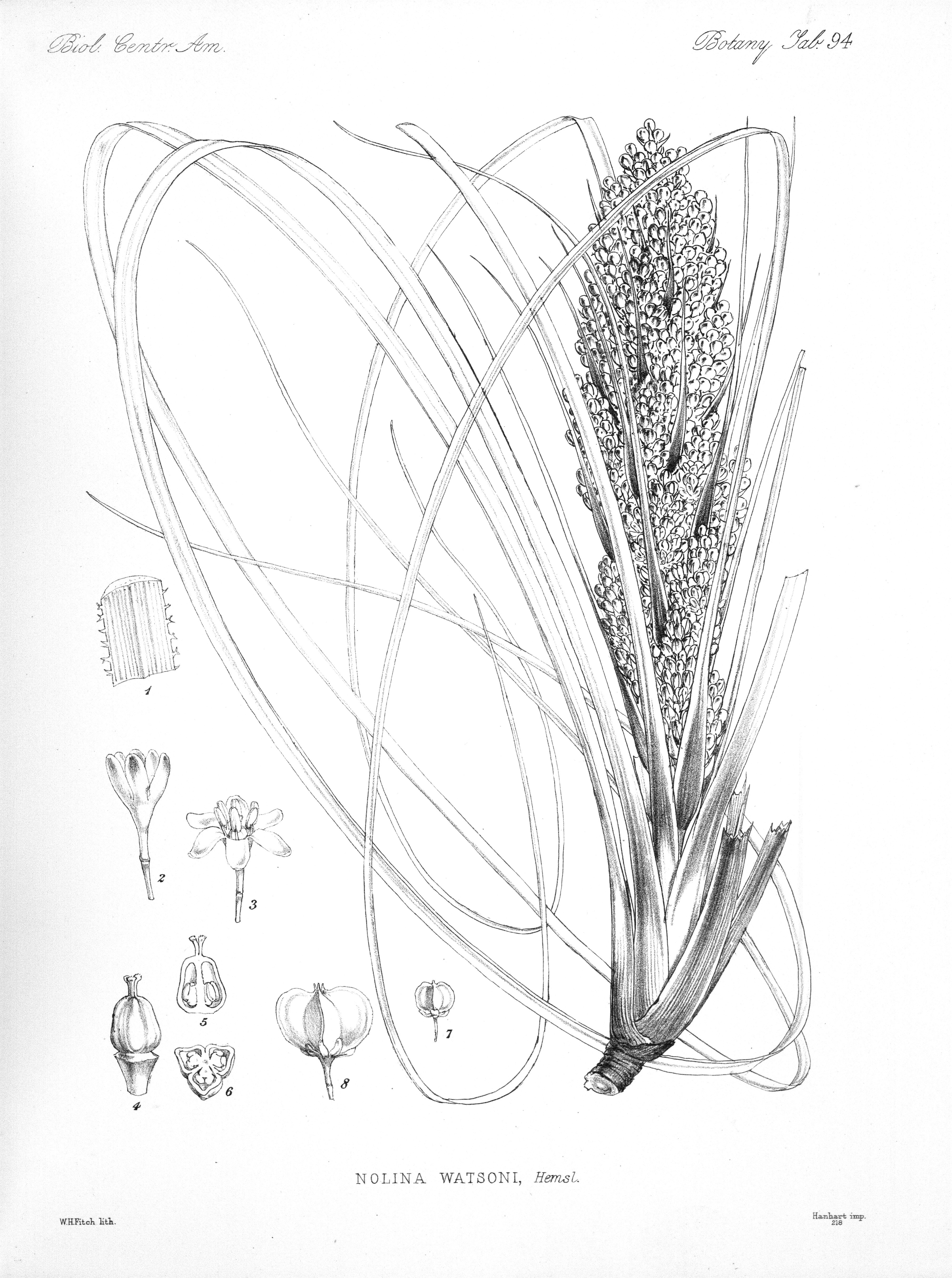 no full size  illustration available (3a)