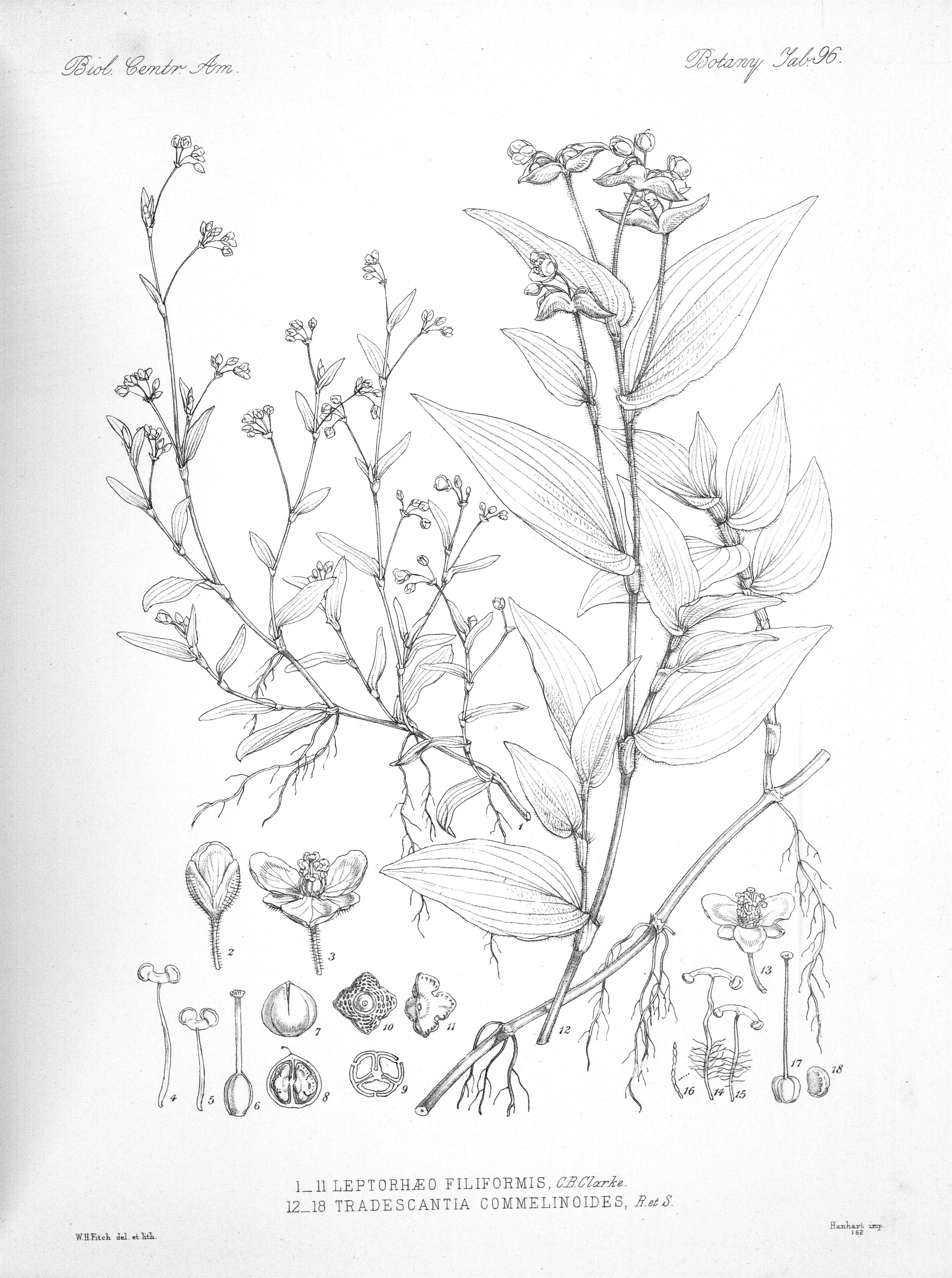 no full size  illustration available (3a)