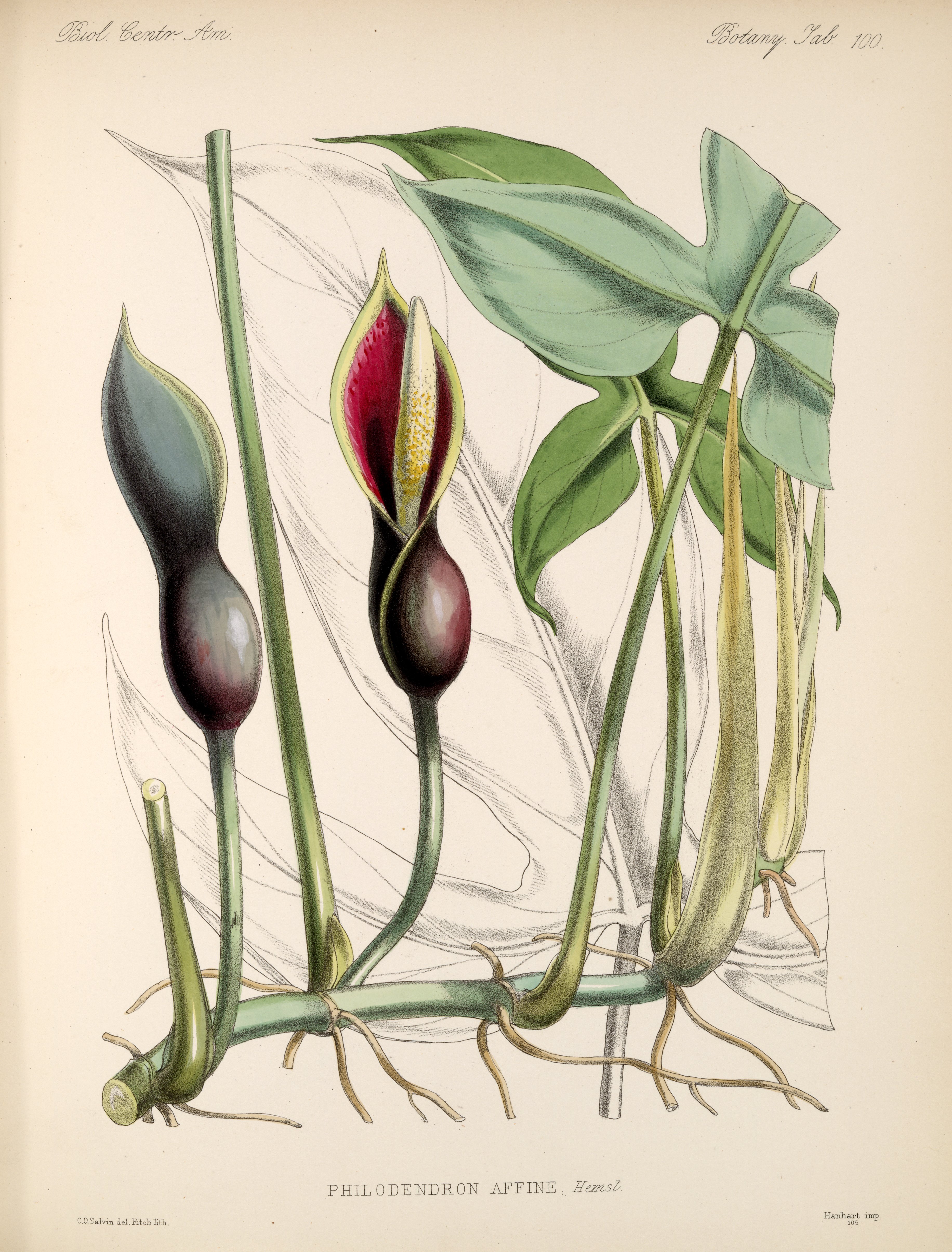 no full size  illustration available (3a)