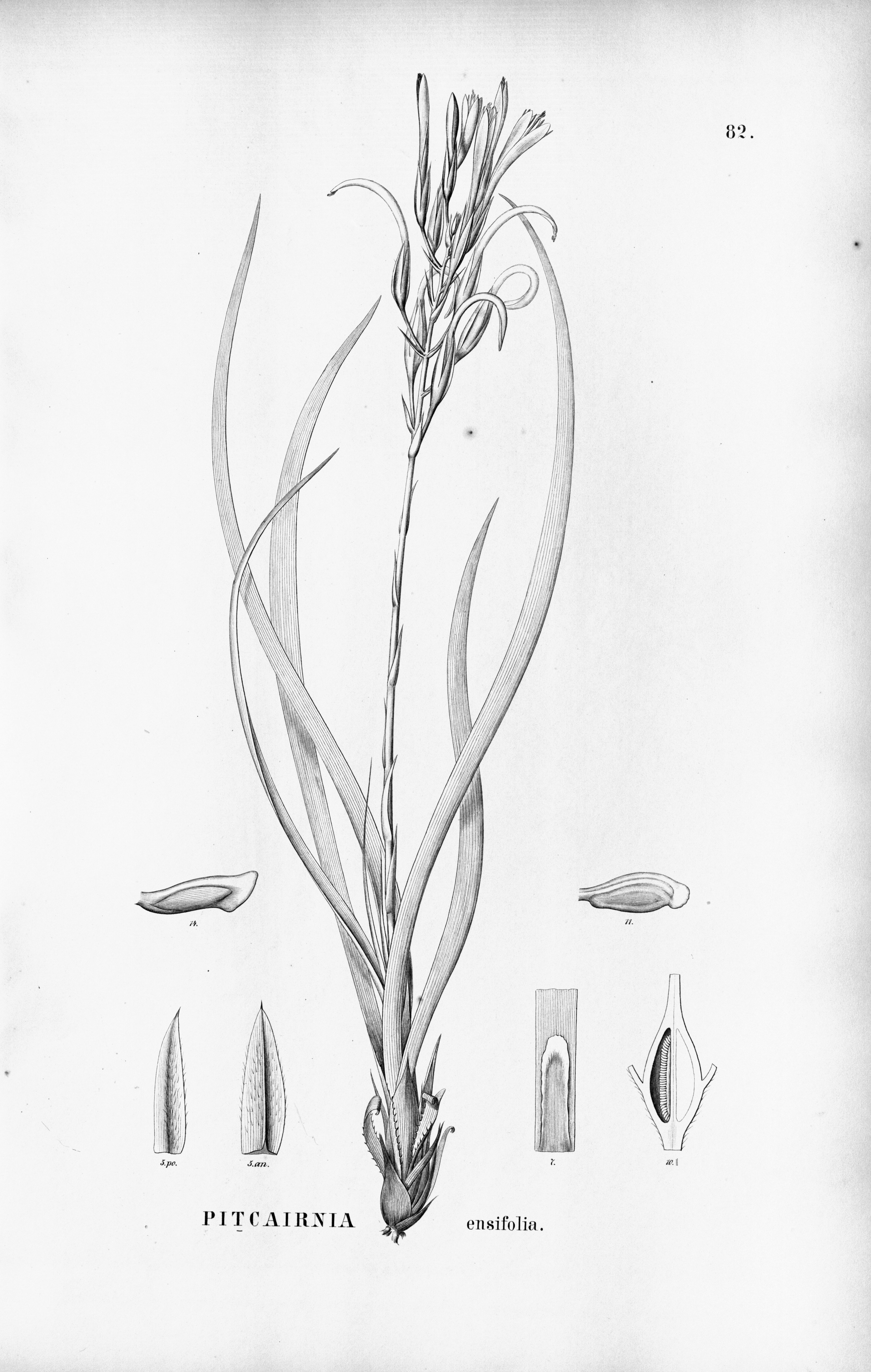 no full size  illustration available (3a)