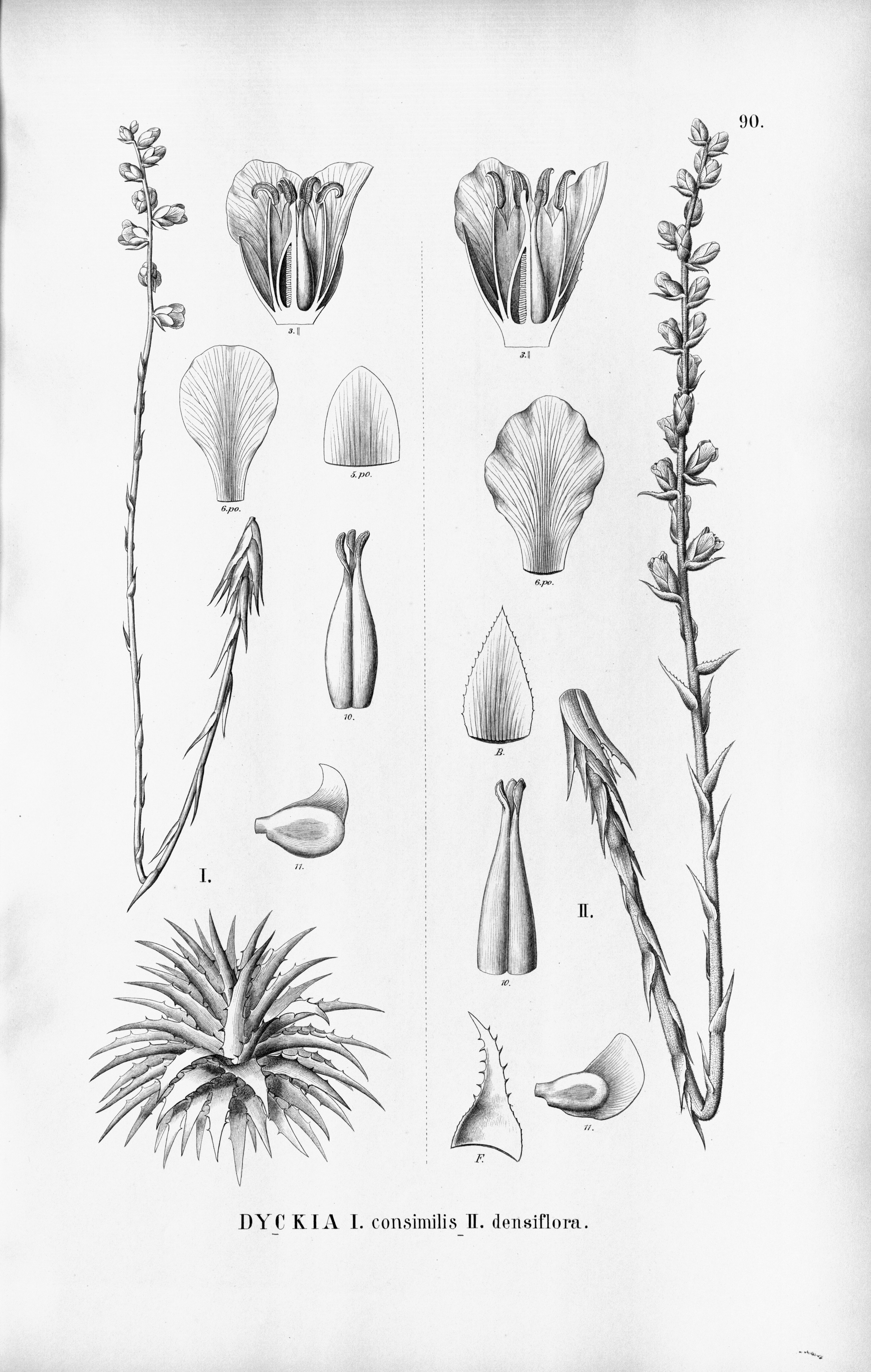 no full size  illustration available (3a)