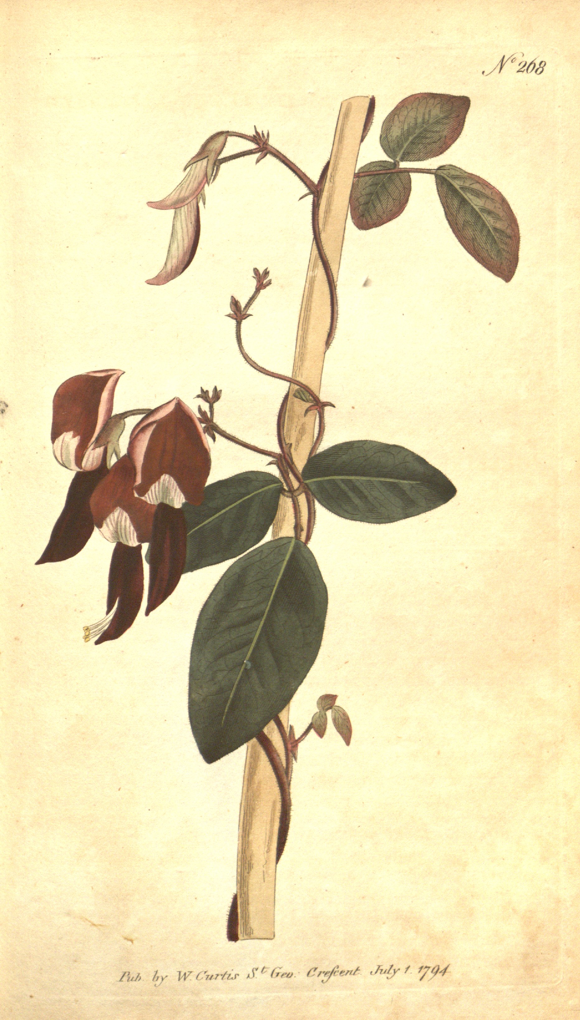 no full size  illustration available (3a)