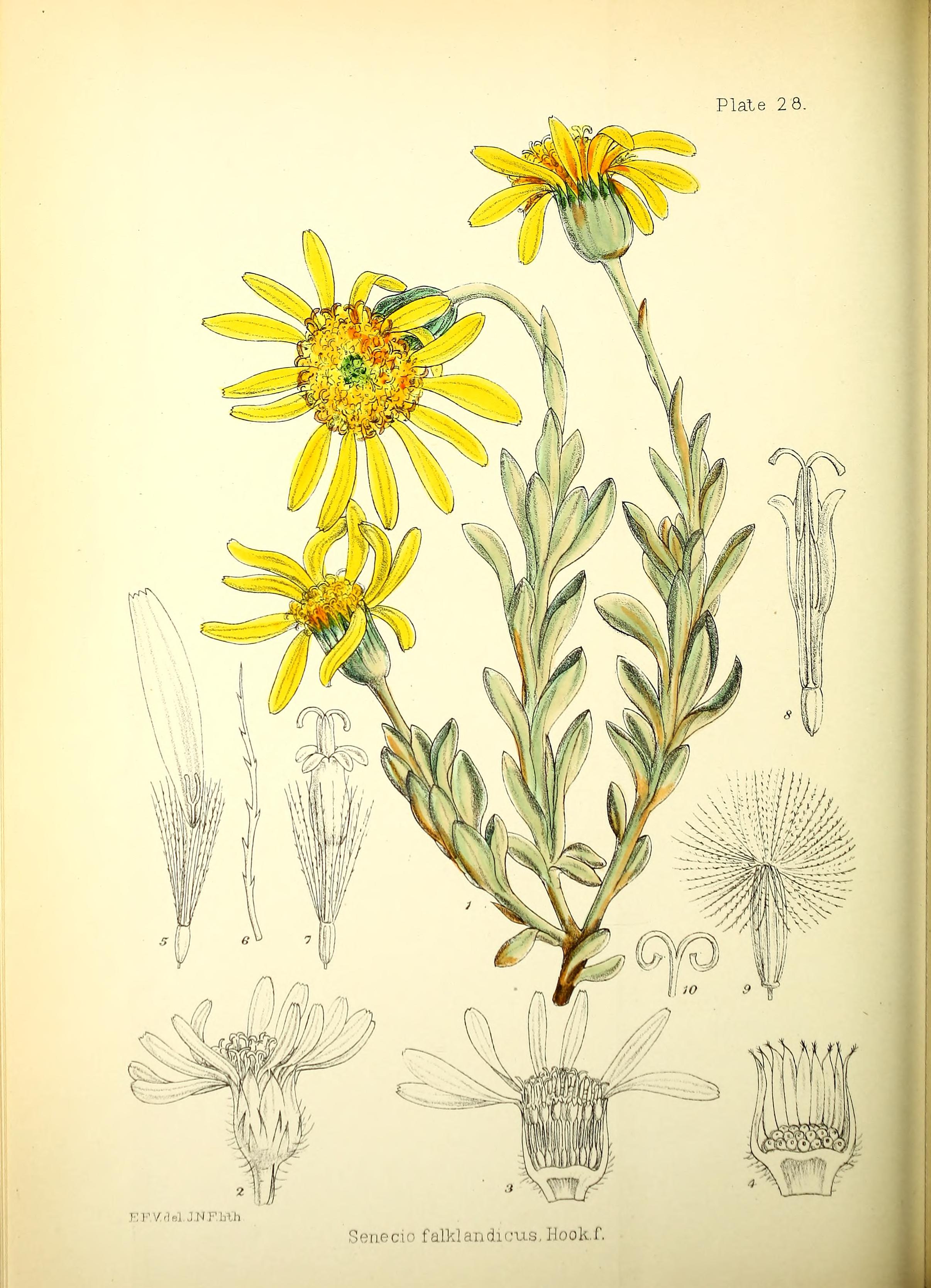 no full size  illustration available (3a)