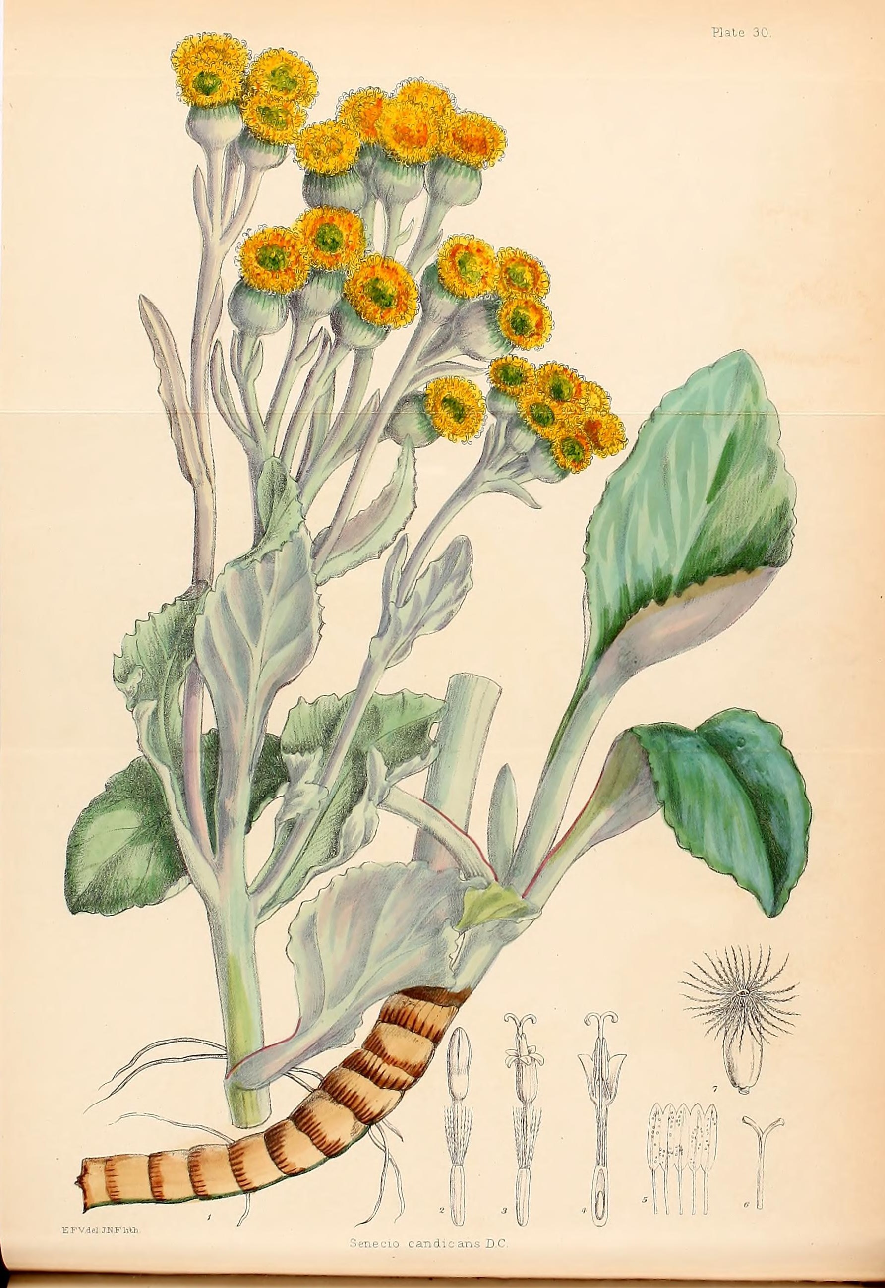 no full size  illustration available (3a)