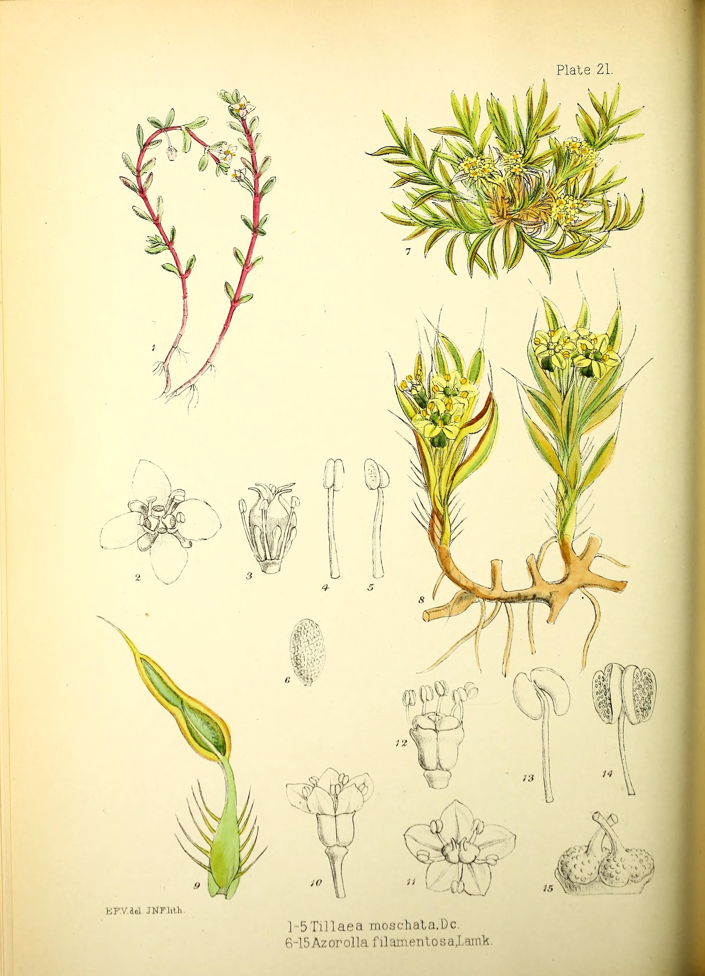 no full size  illustration available (3a)