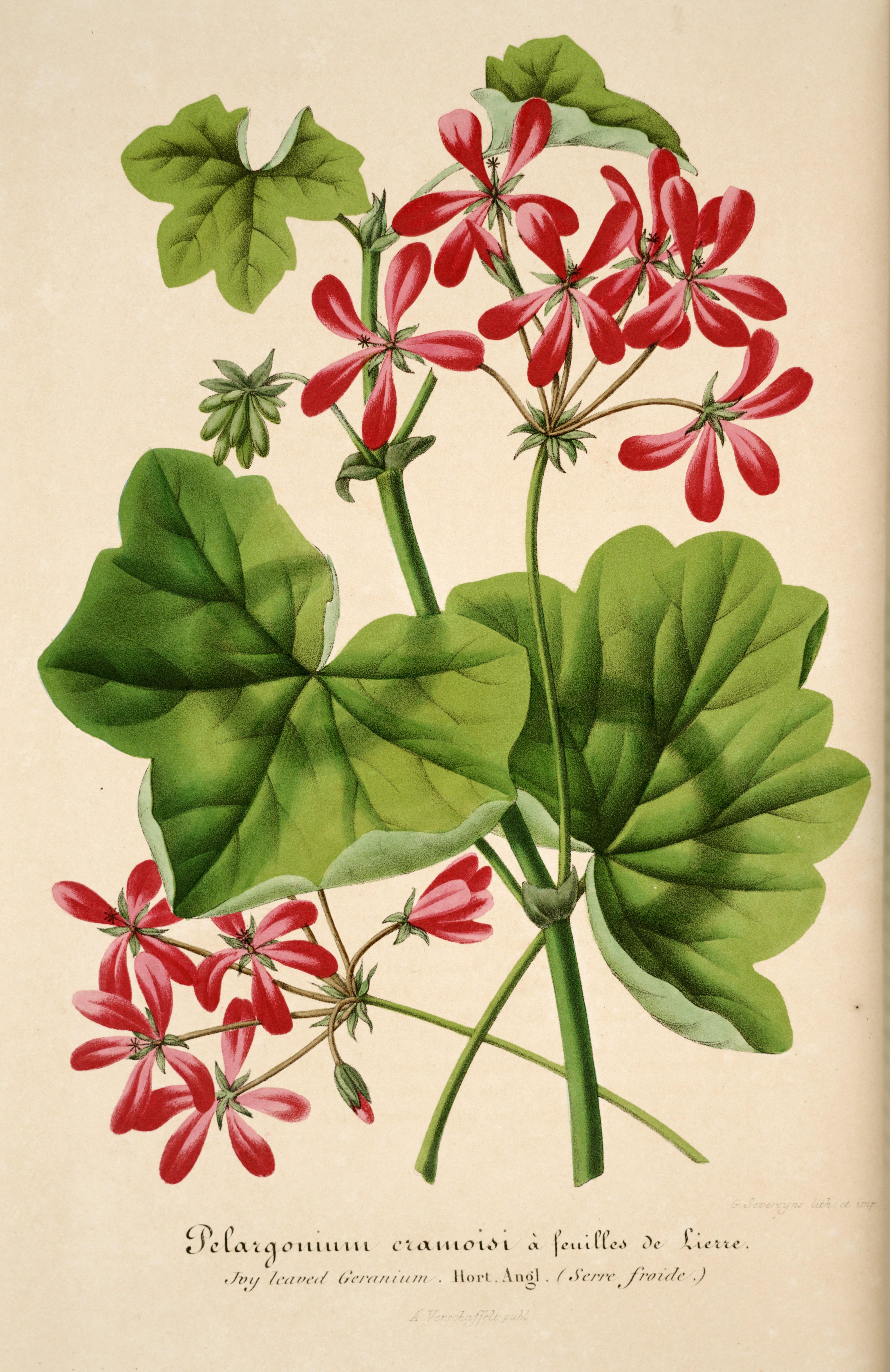 no full size  illustration available (3a)