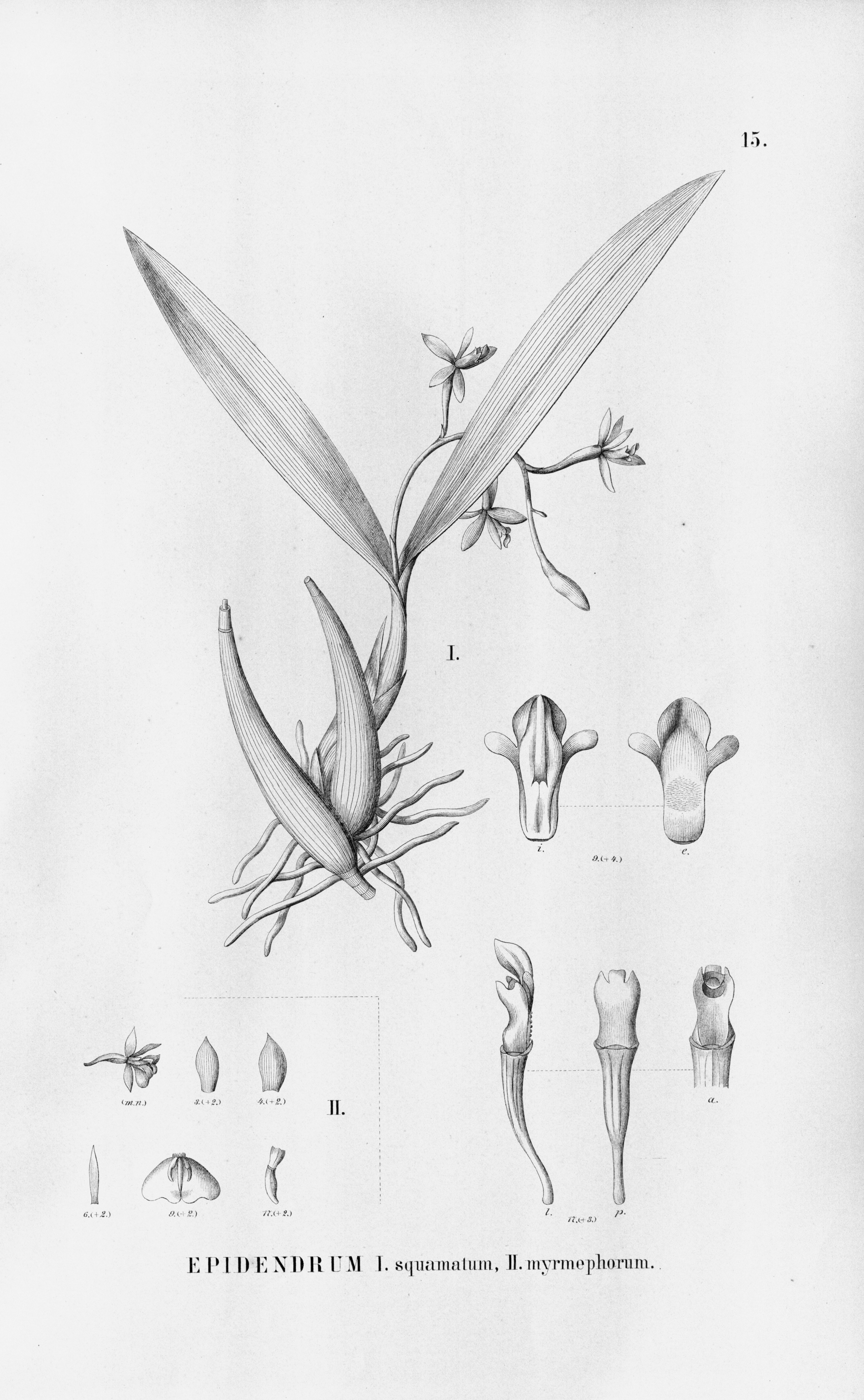 no full size  illustration available (3a)