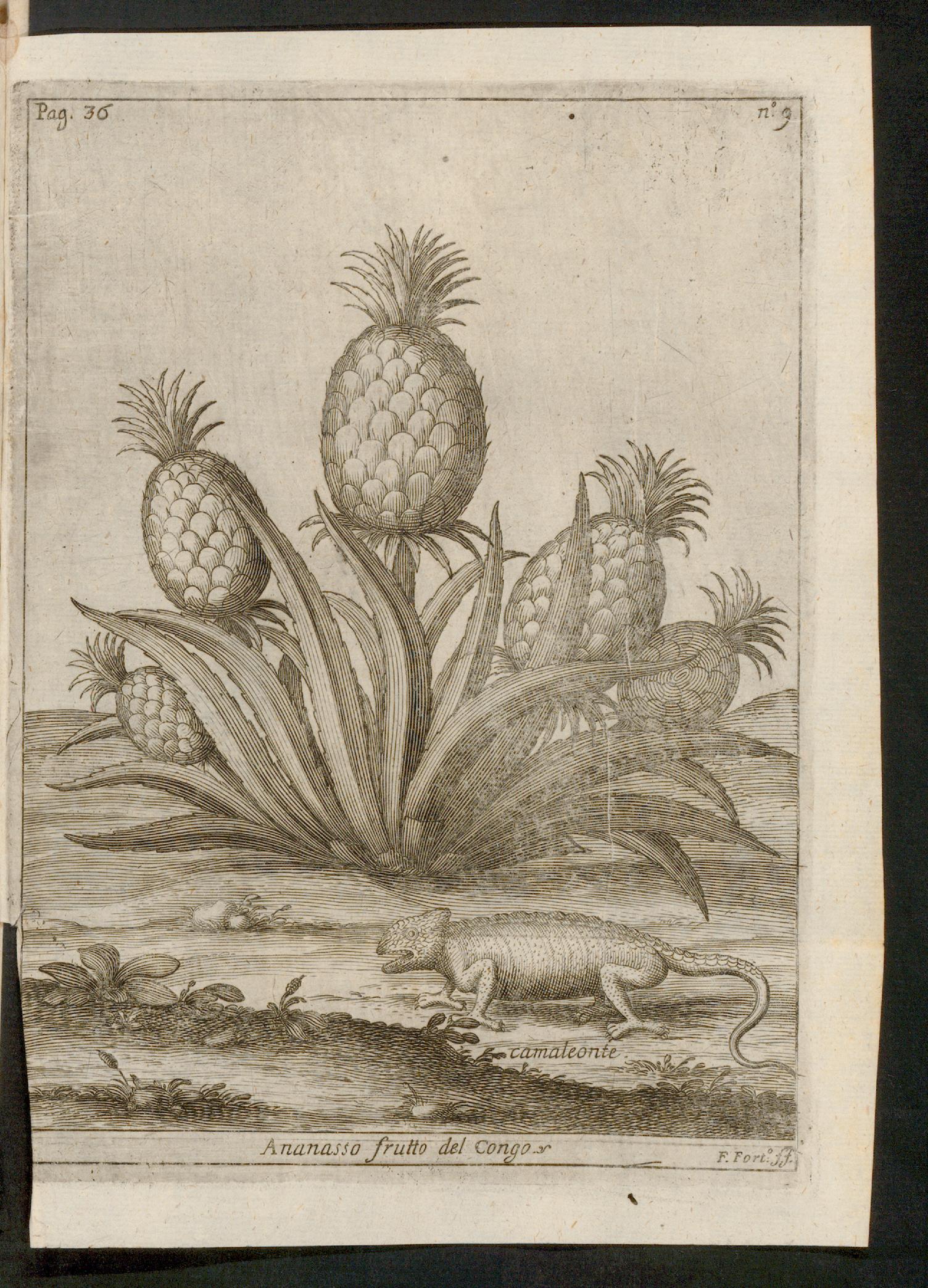 no full size  illustration available (3a)