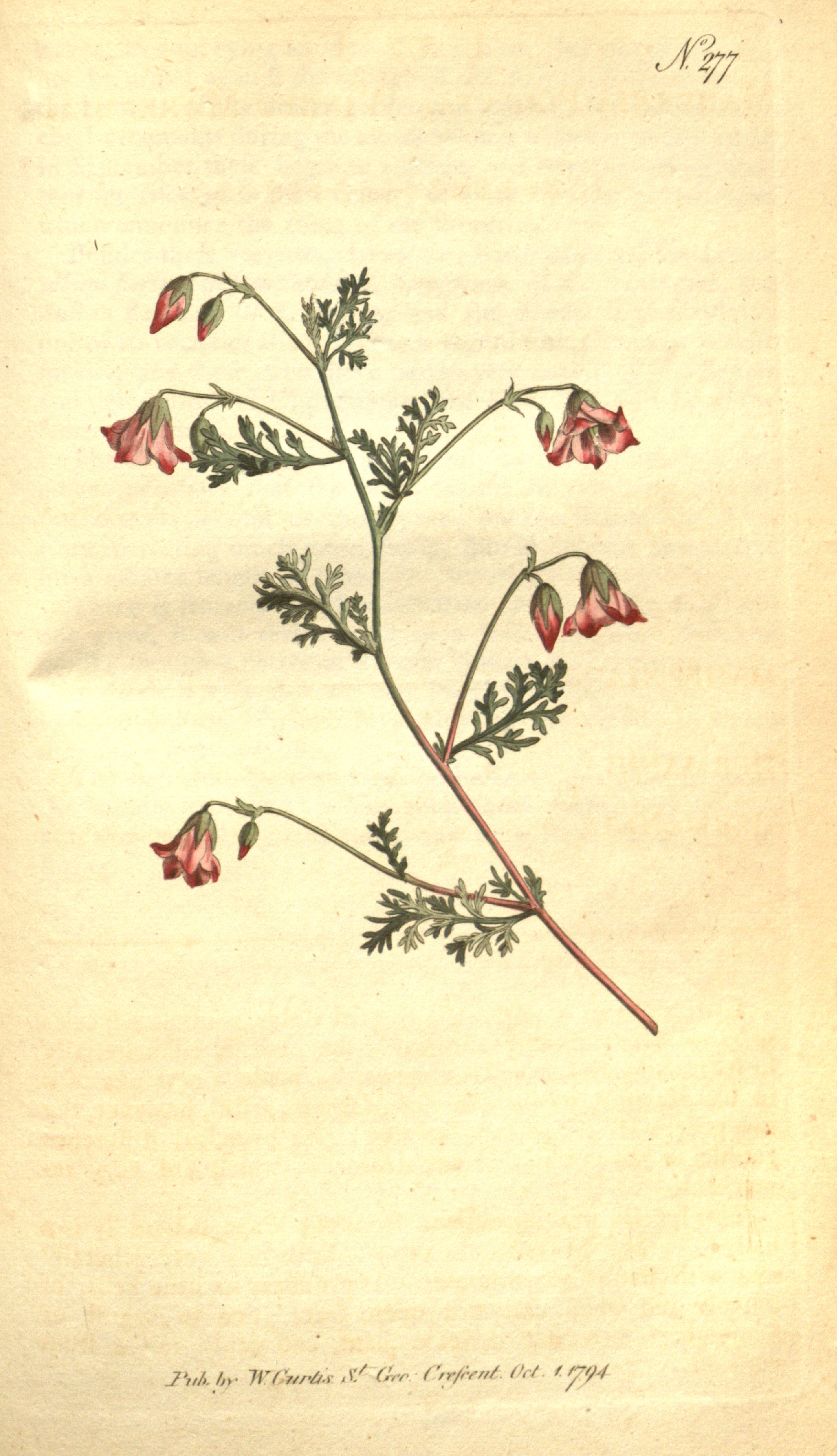 no full size  illustration available (3a)