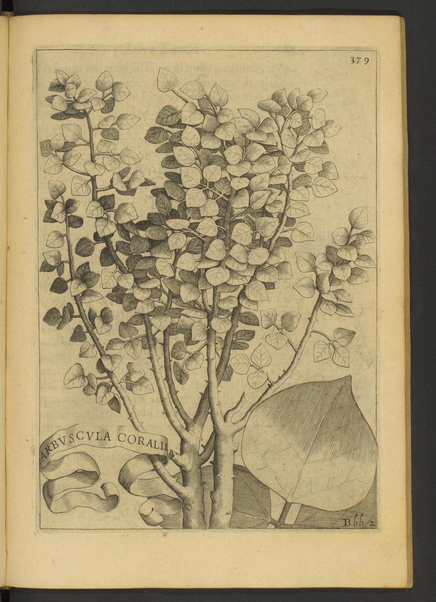 no full size  illustration available (3a)