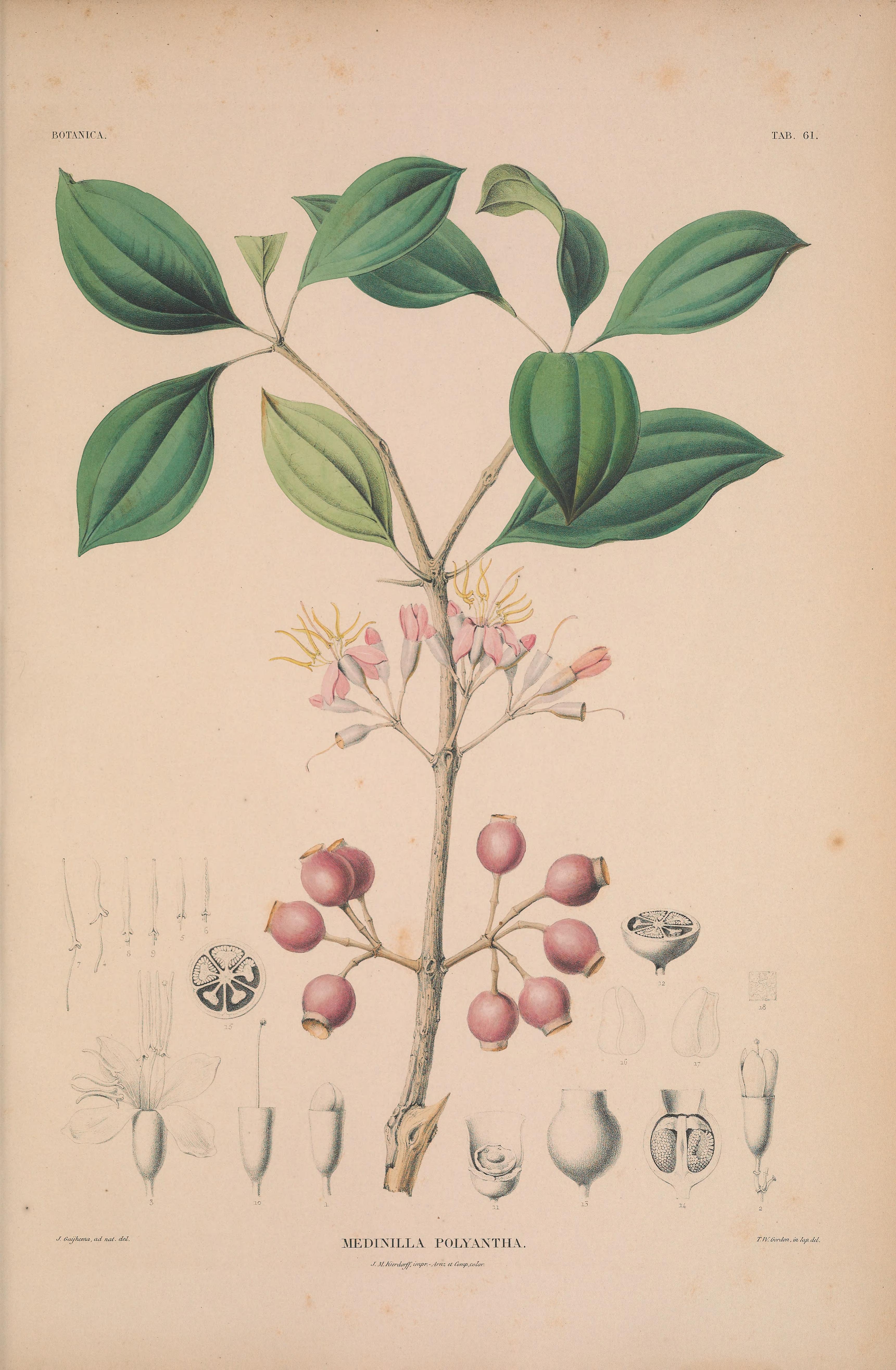 no full size  illustration available (3a)