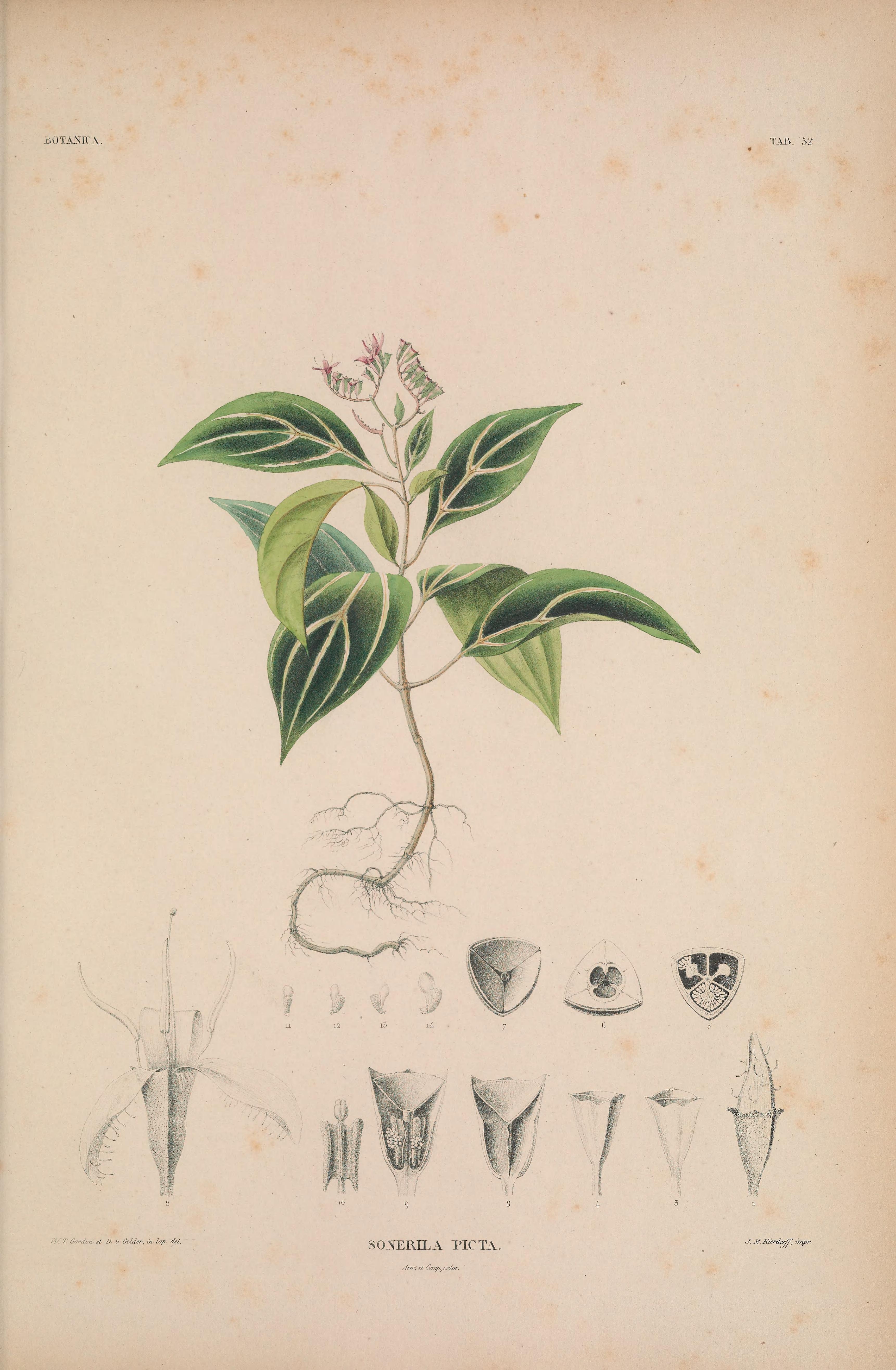 no full size  illustration available (3a)