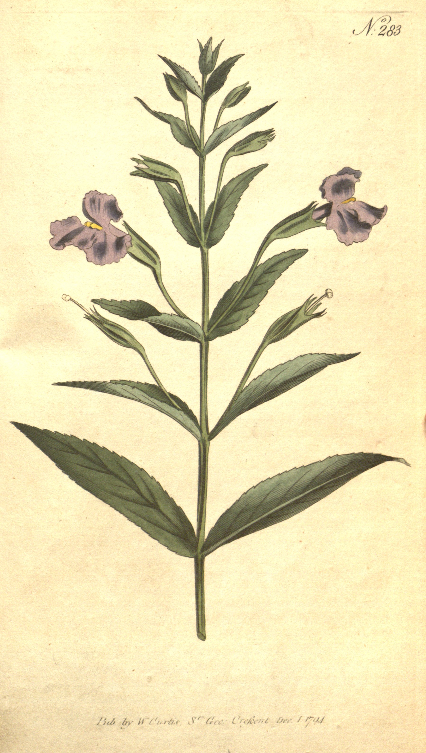 no full size  illustration available (3a)