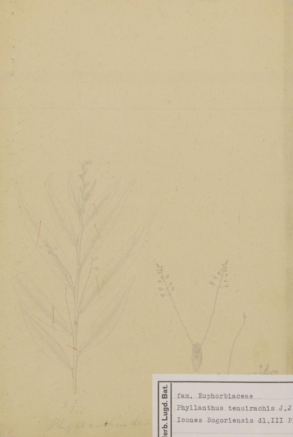 no full size  illustration available (3a)