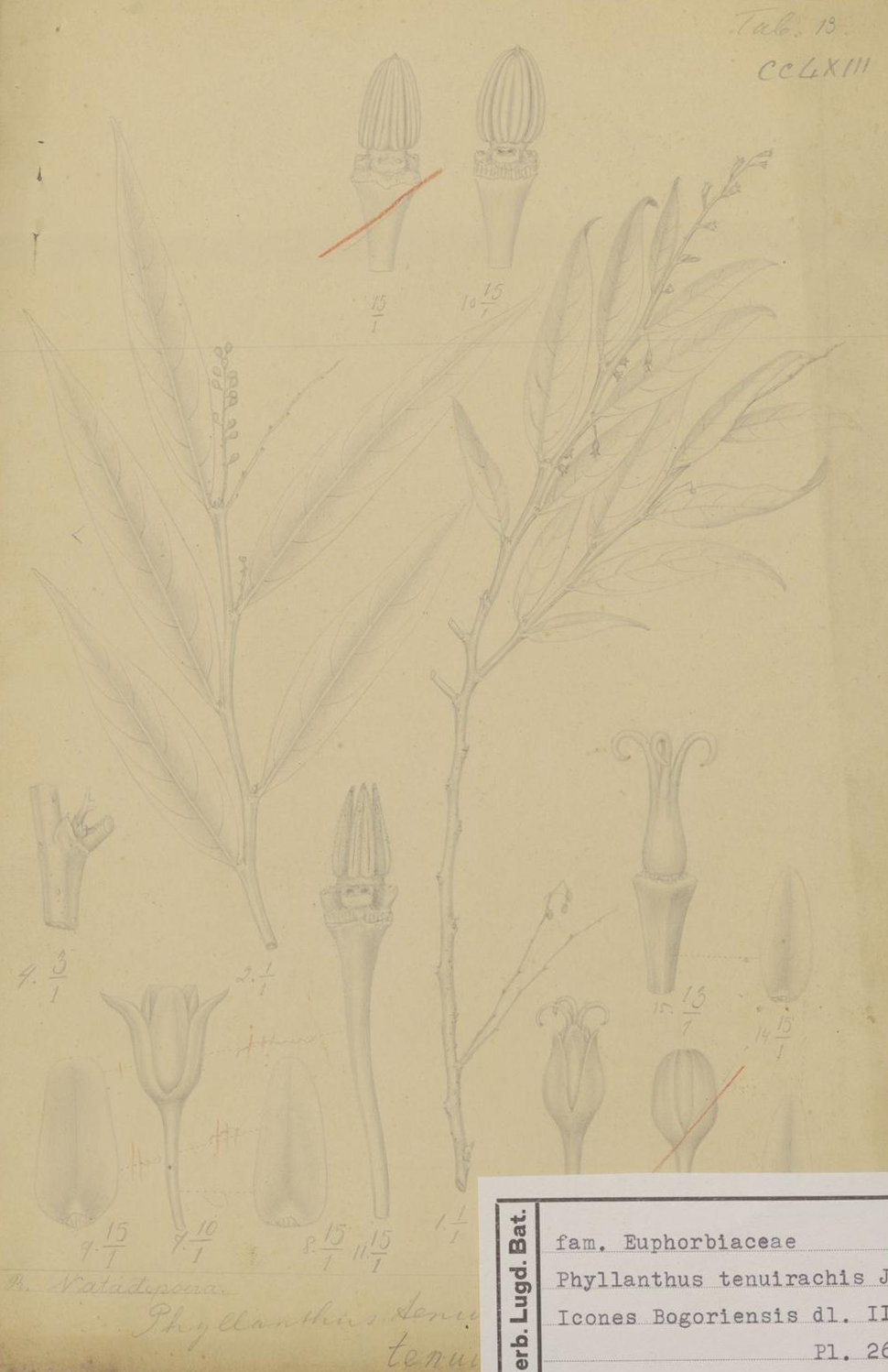 no full size  illustration available (3a)