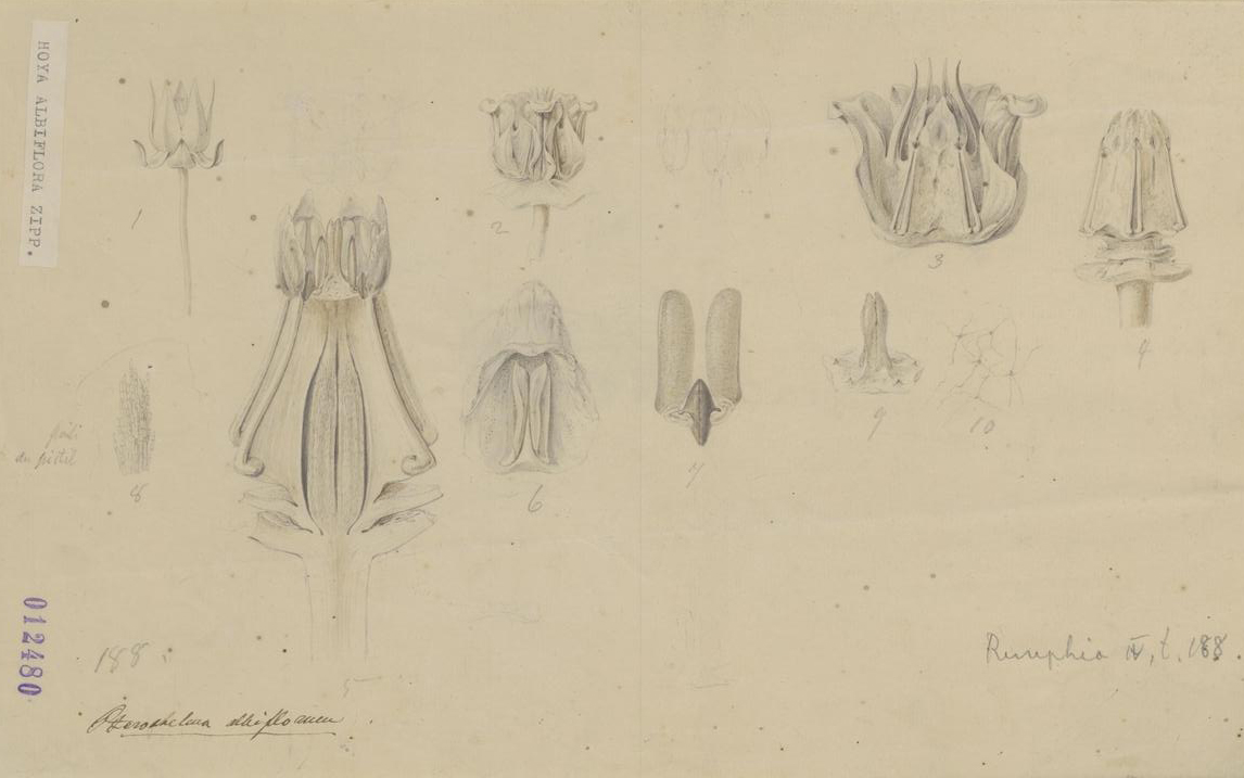 no full size  illustration available (3a)