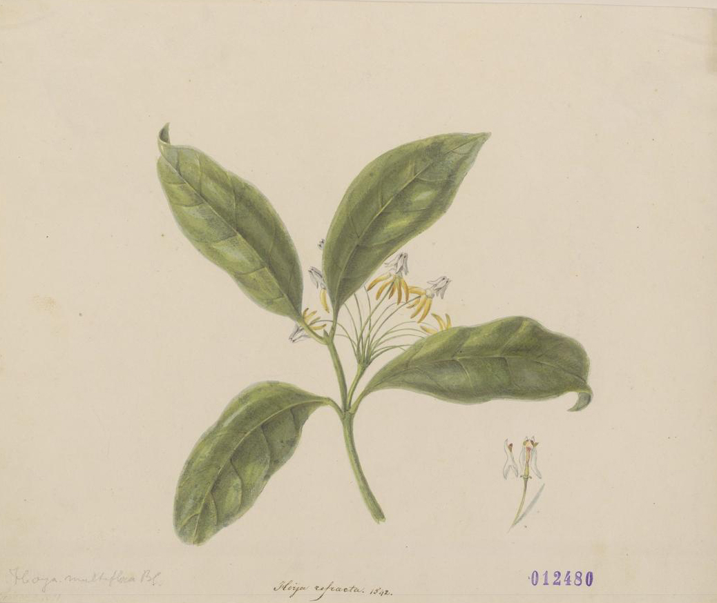 no full size  illustration available (3a)