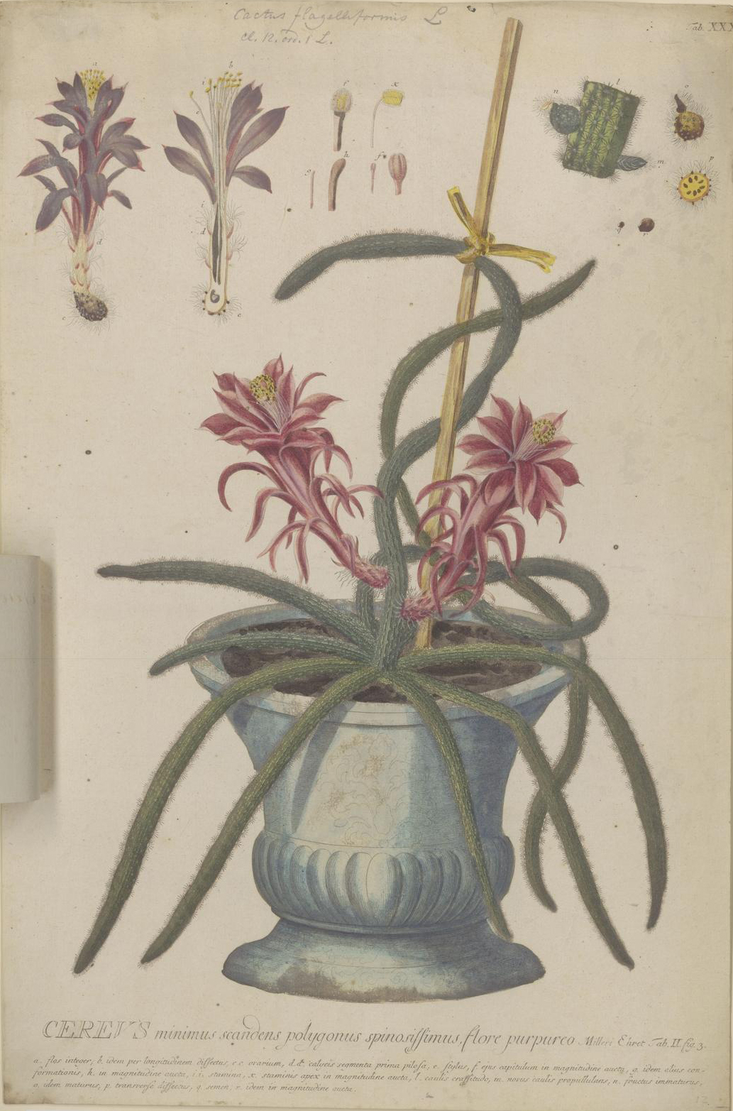 no full size  illustration available (3a)