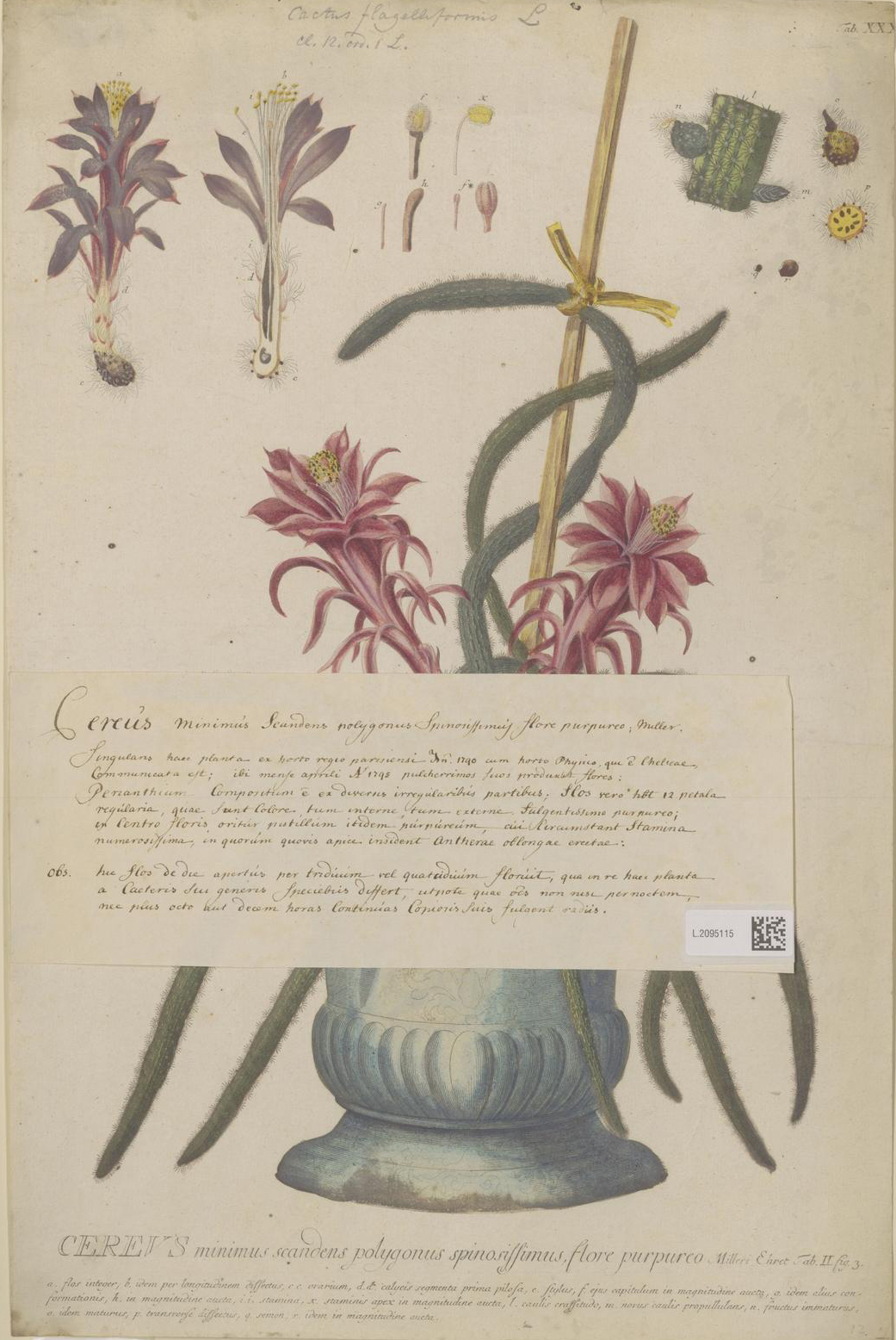 no full size  illustration available (3a)