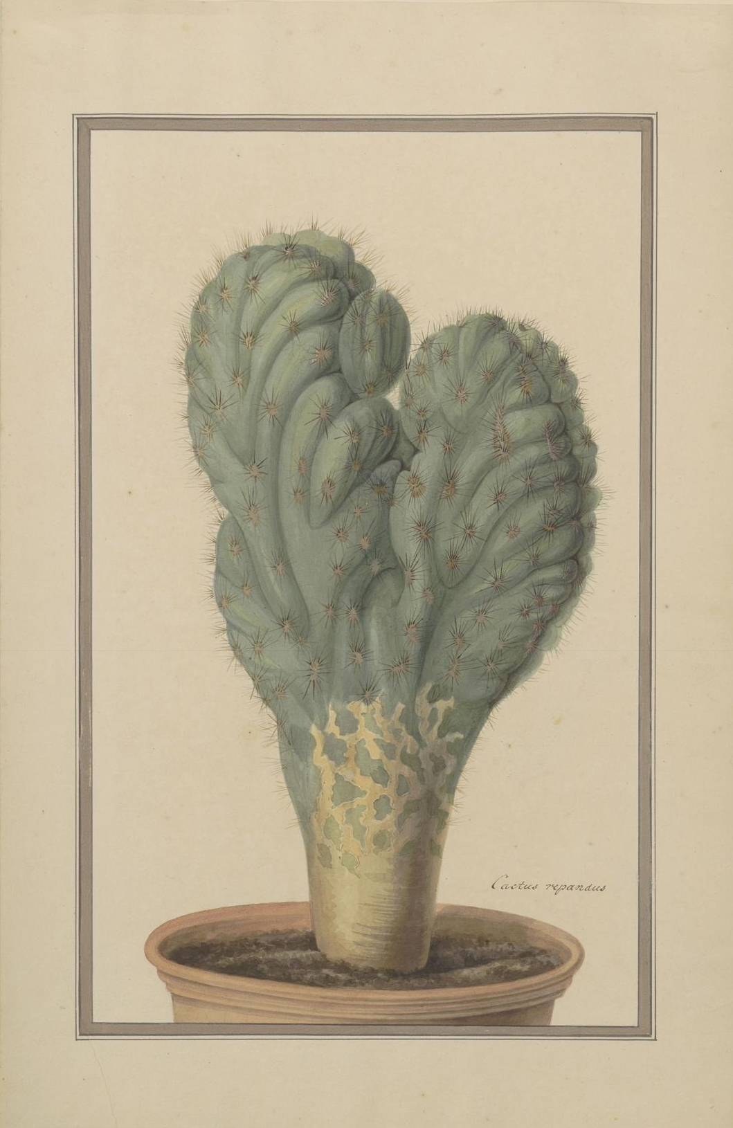 no full size  illustration available (3a)