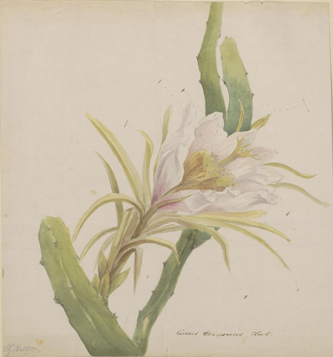 no full size  illustration available (3a)