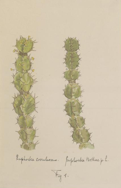 no full size  illustration available (3a)