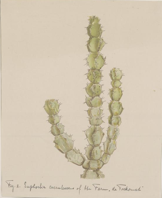 no full size  illustration available (3a)