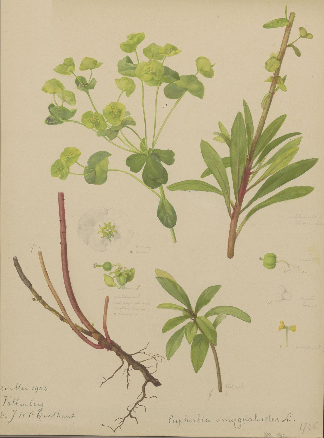 no full size  illustration available (3a)