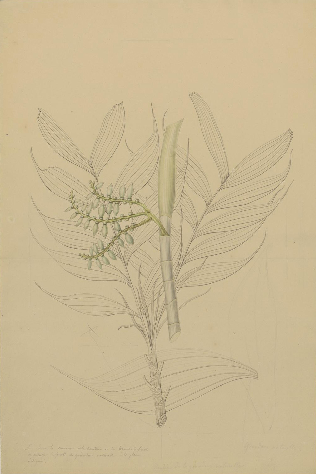 no full size  illustration available (3a)