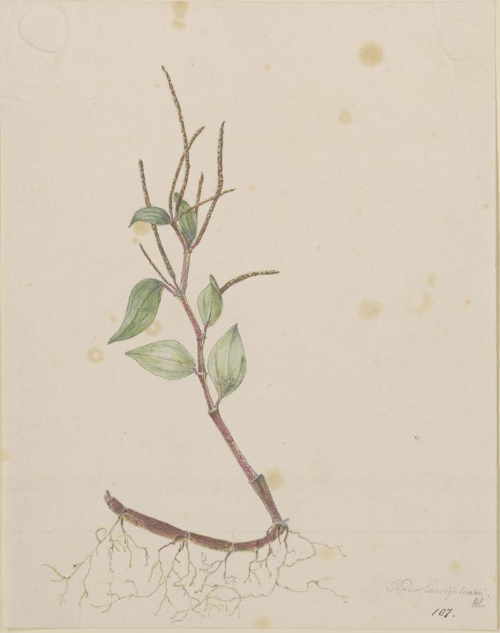 no full size  illustration available (3a)